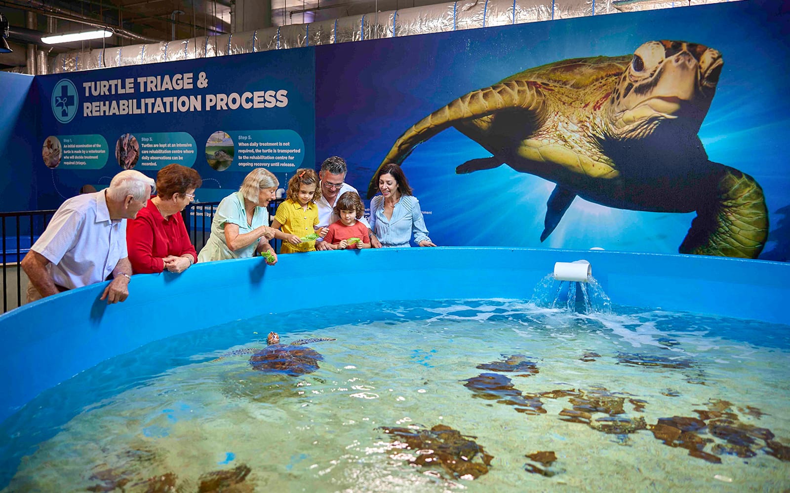 Cairns Aquarium Tickets in Cairns - Highlights | TickYourList