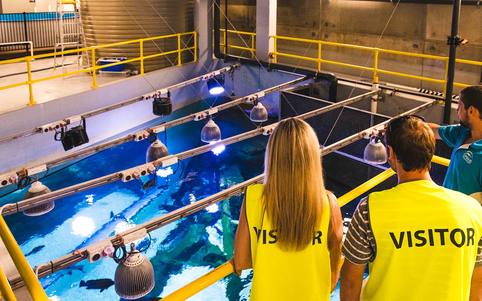 Cairns Aquarium by Twilight with Optional Dining tickets in Cairns - Activities | TickYourList