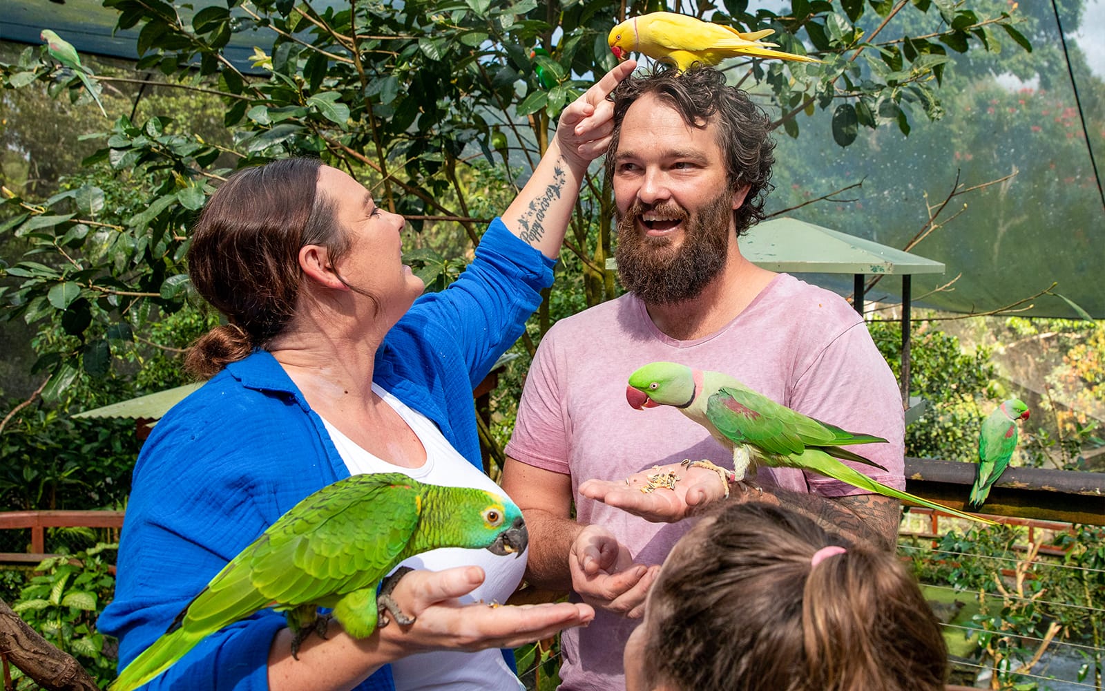 Birdworld Kuranda Tickets experience in Cairns | TickYourList