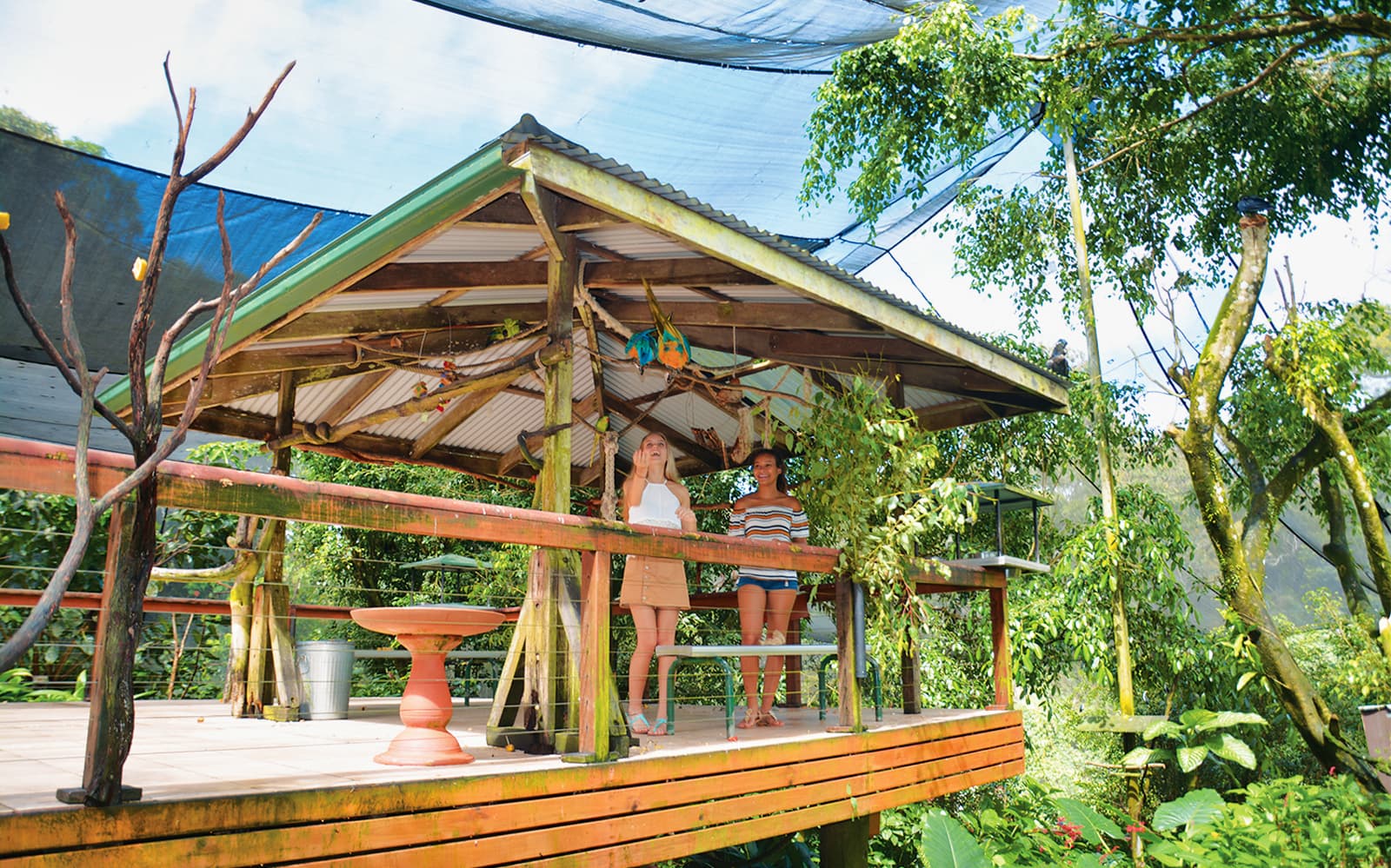 Birdworld Kuranda Tickets in Cairns - Attractions | TickYourList