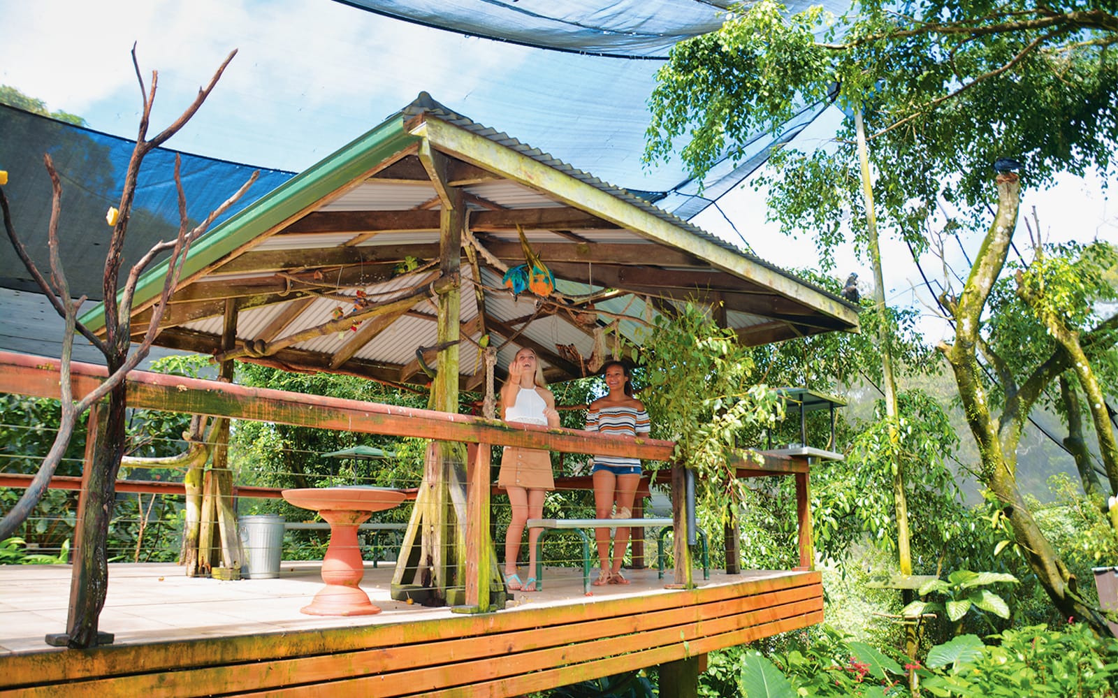 Birdworld Kuranda Tickets in Cairns - Attractions | TickYourList