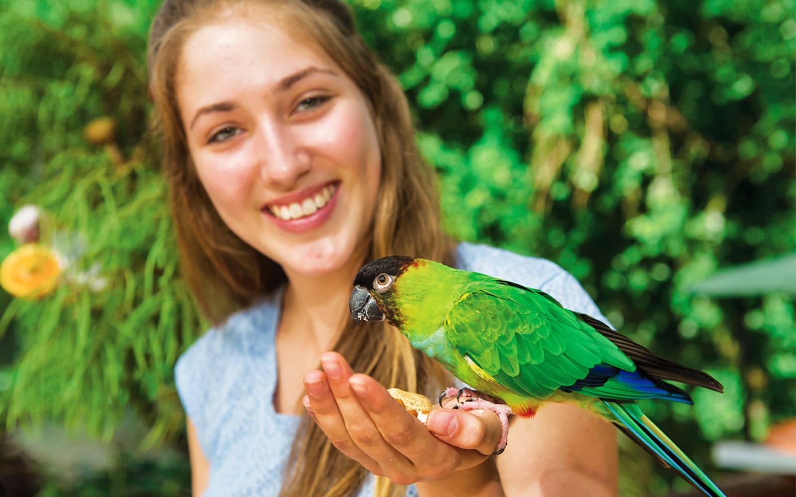 Birdworld Kuranda Tickets in Cairns - Activities | TickYourList