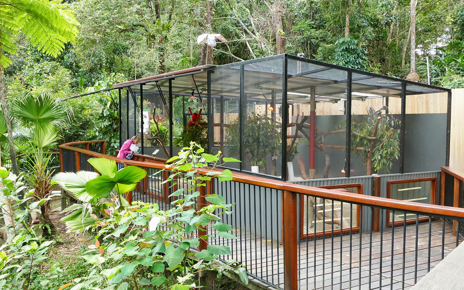 Kuranda Wildlife Experience Package - 3 in 1 Combo
