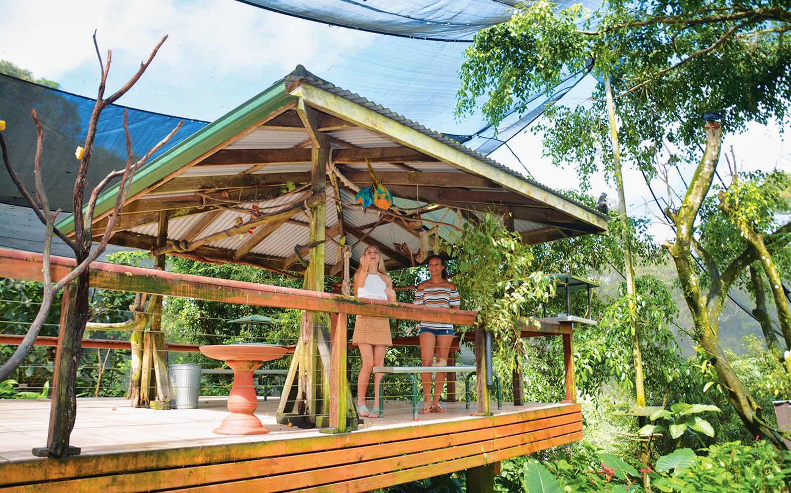 Kuranda Wildlife Experience Package - 3 in 1 Combo tickets in Cairns - Highlights | TickYourList