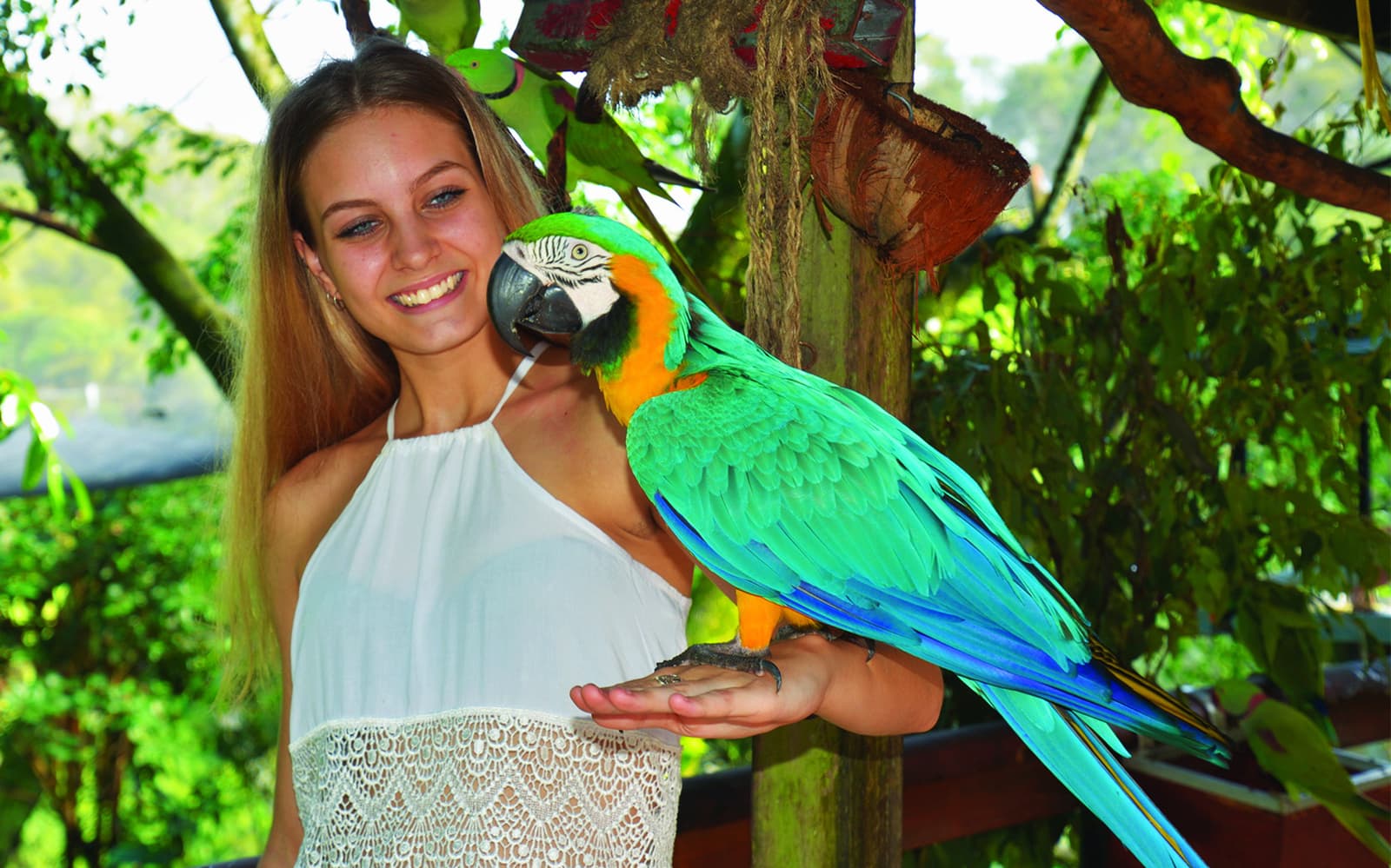 Kuranda Wildlife Experience Package - 3 in 1 Combo tickets in Cairns - Features | TickYourList
