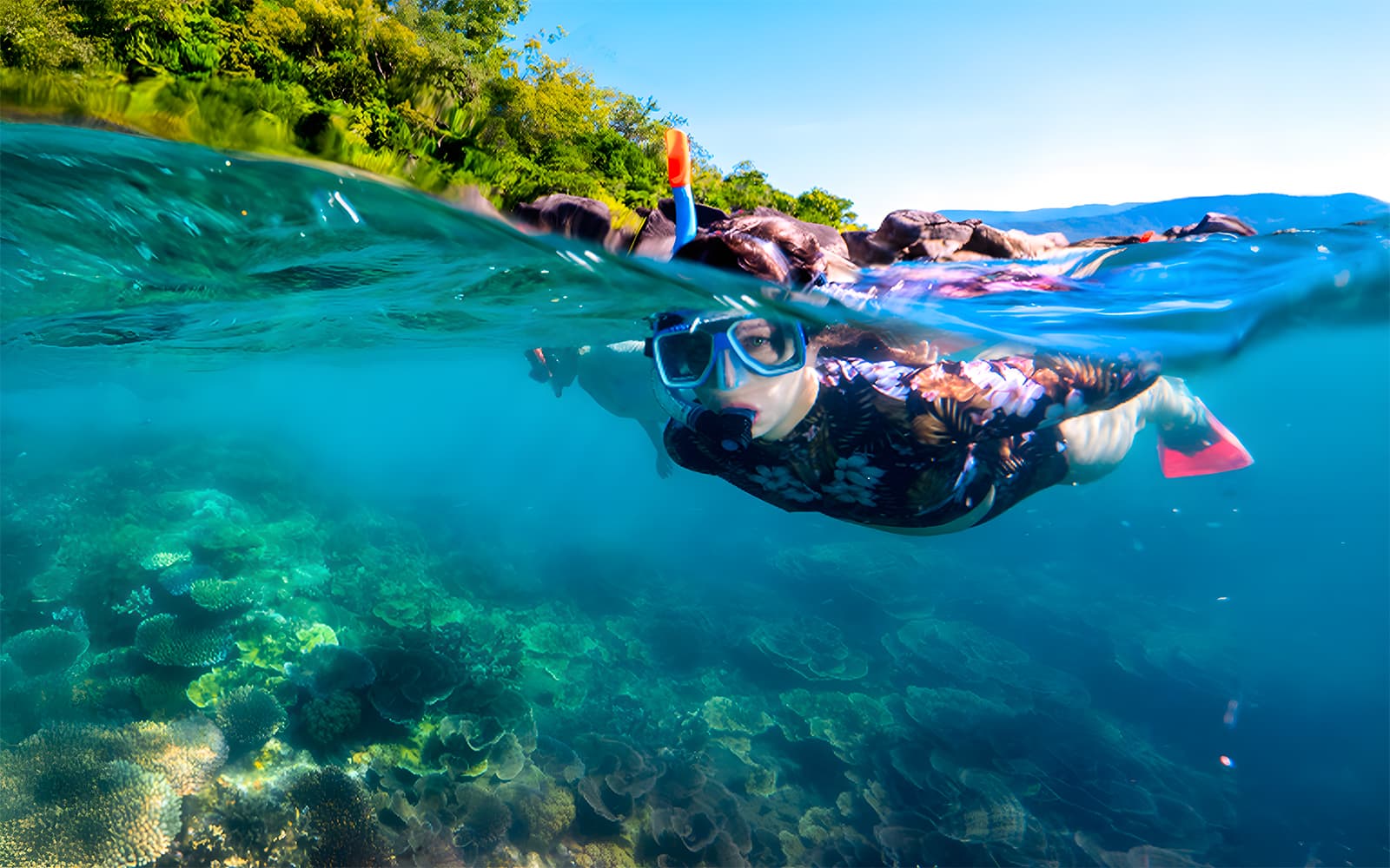 Cairns to Fitzroy Island Half Day Cruise tickets in Cairns - Highlights | TickYourList