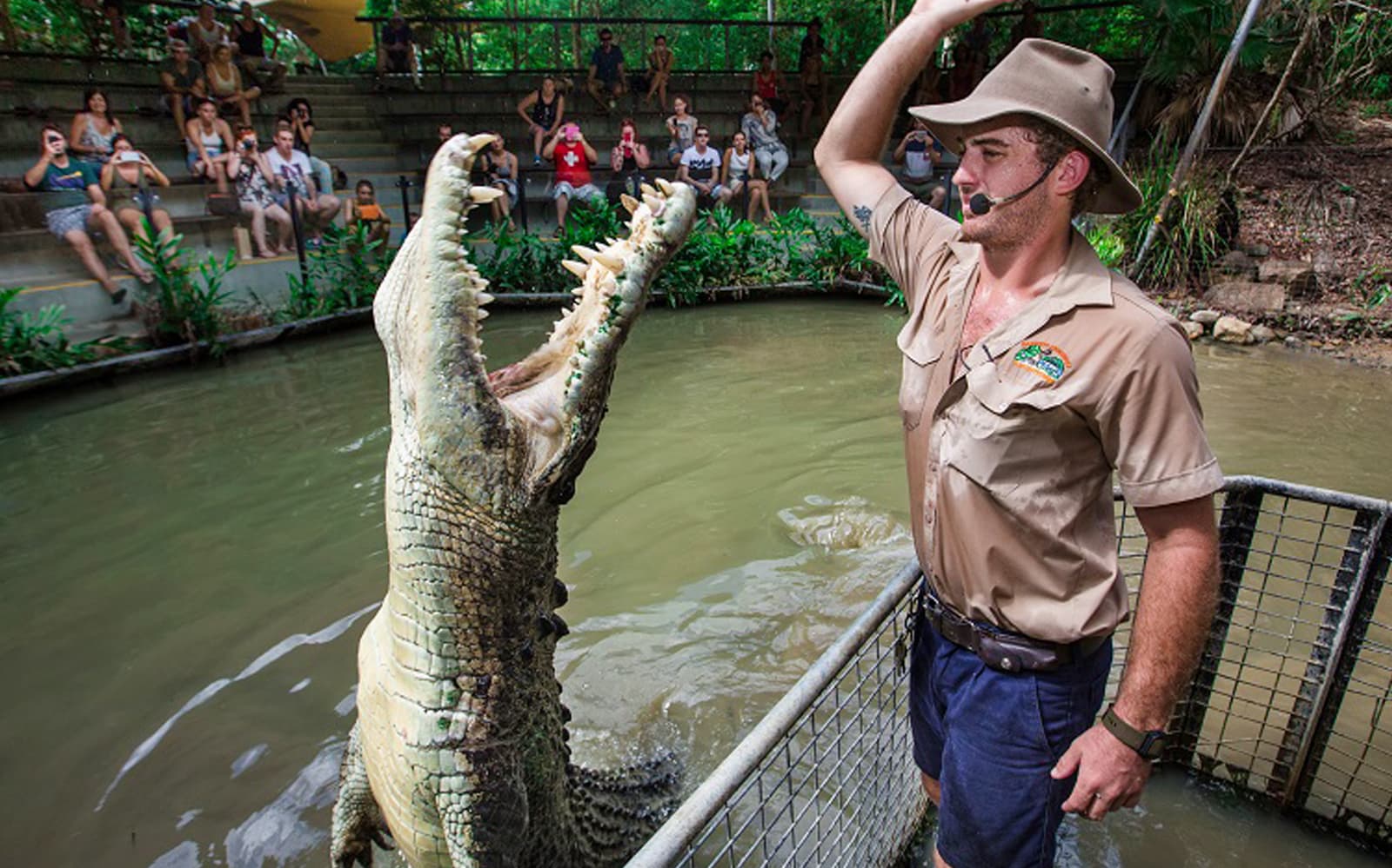 Hartley's Crocodile Adventures Park Entry Ticket