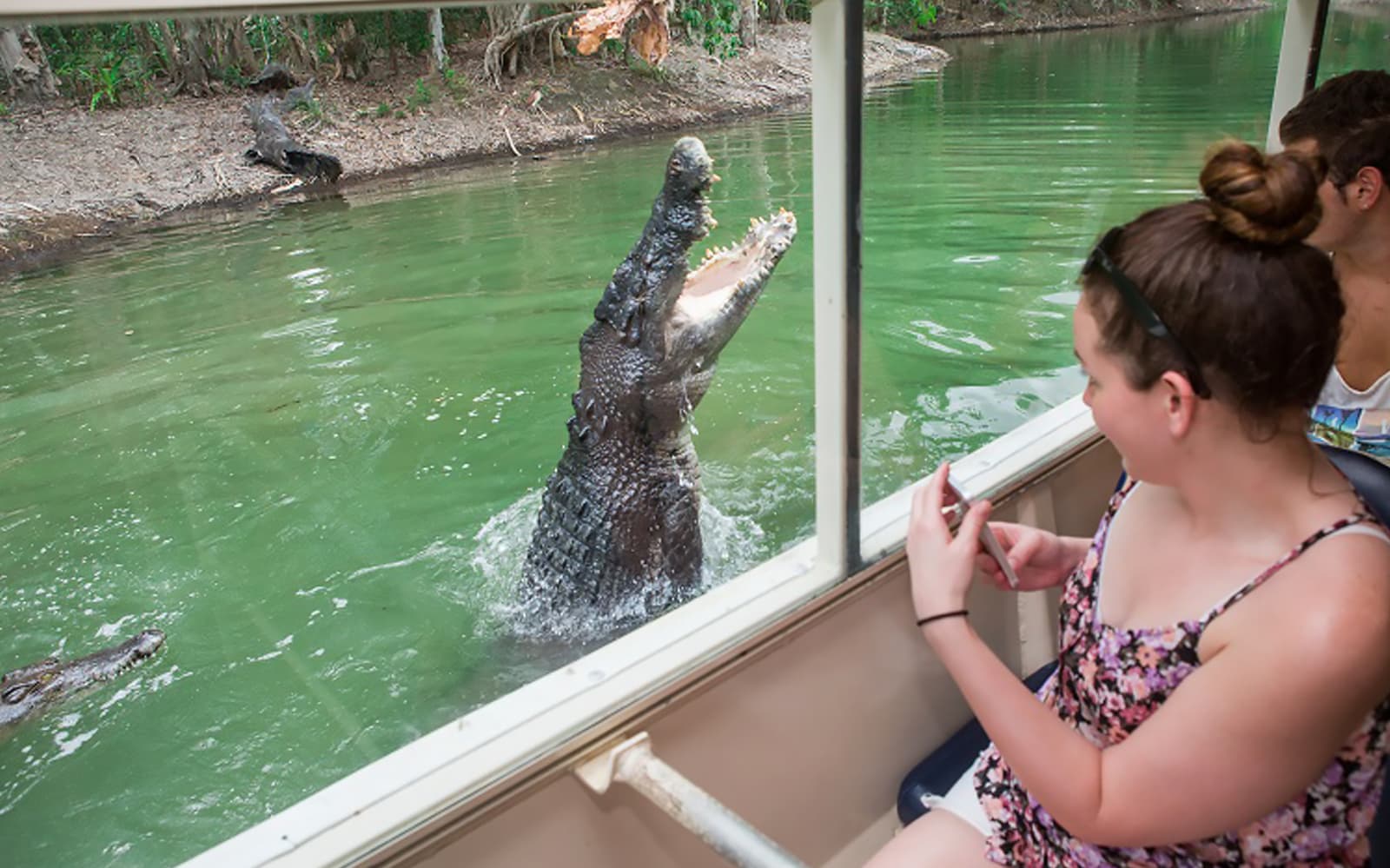 Hartley's Crocodile Adventures Park Entry Ticket in Cairns - Attractions | TickYourList