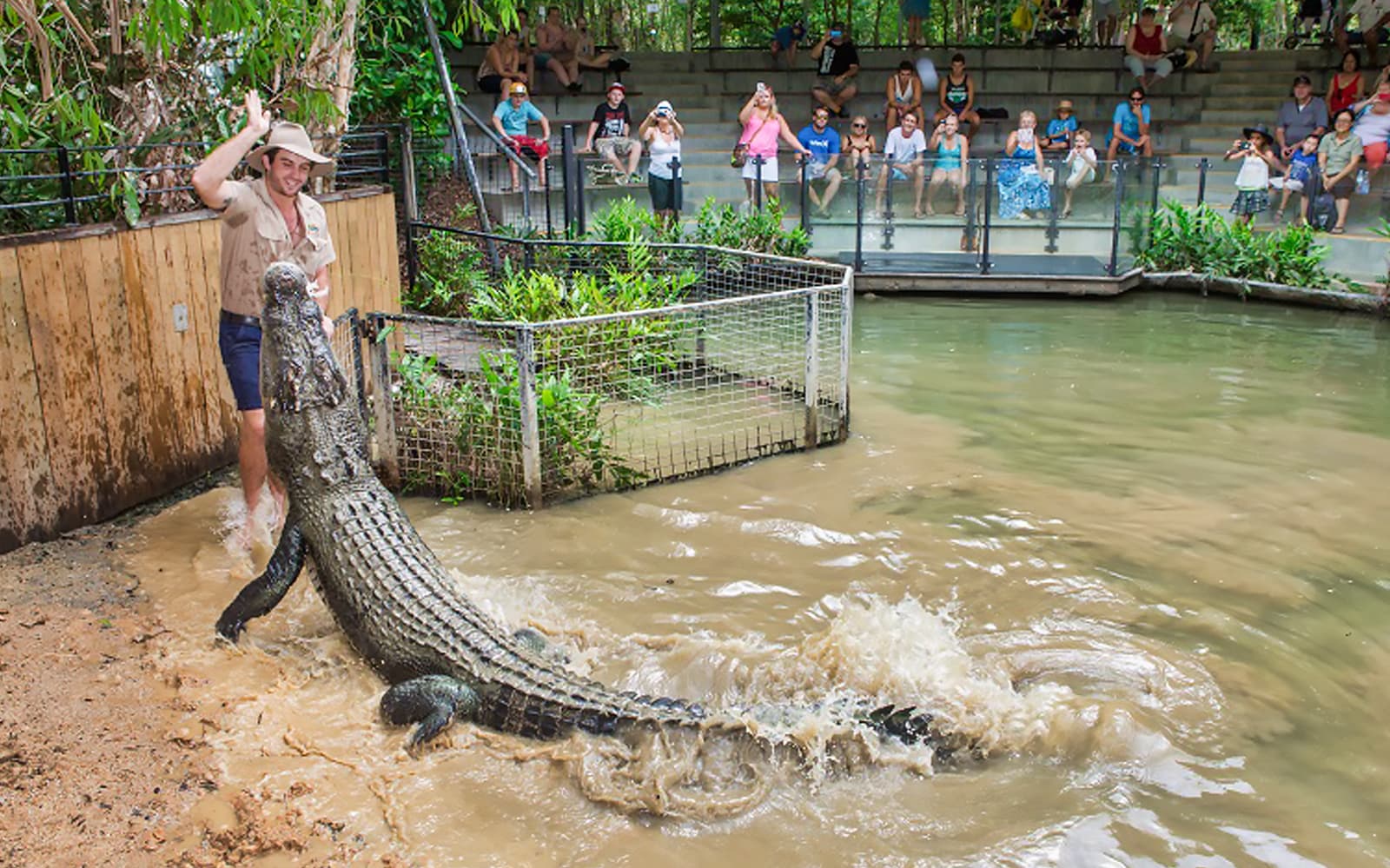 Hartley's Crocodile Adventures Park Entry Ticket in Cairns - Explore More | TickYourList
