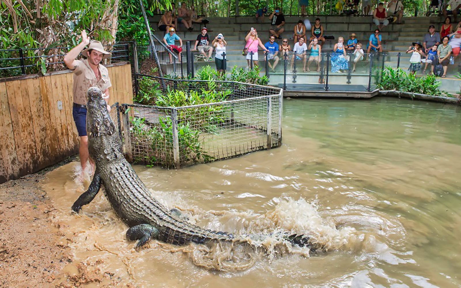 Hartley's Crocodile Adventures Park Entry Ticket in Cairns - Explore More | TickYourList