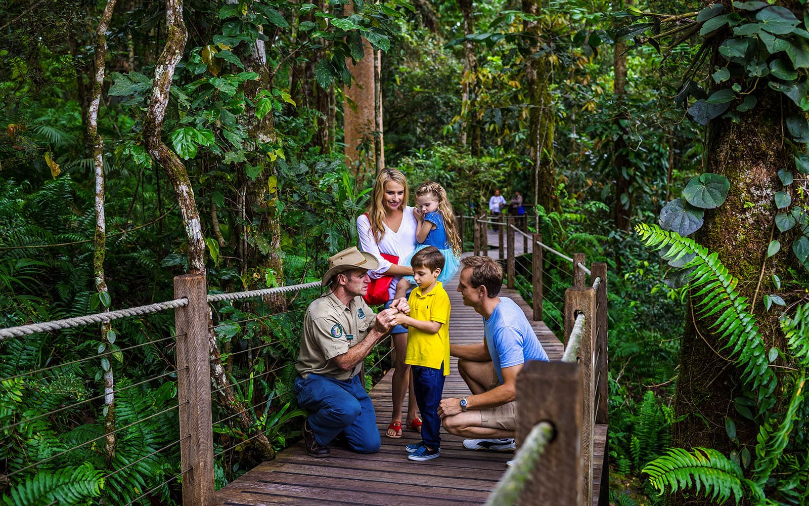 Kuranda Skyrail One-Way Tickets in Cairns - Features | TickYourList