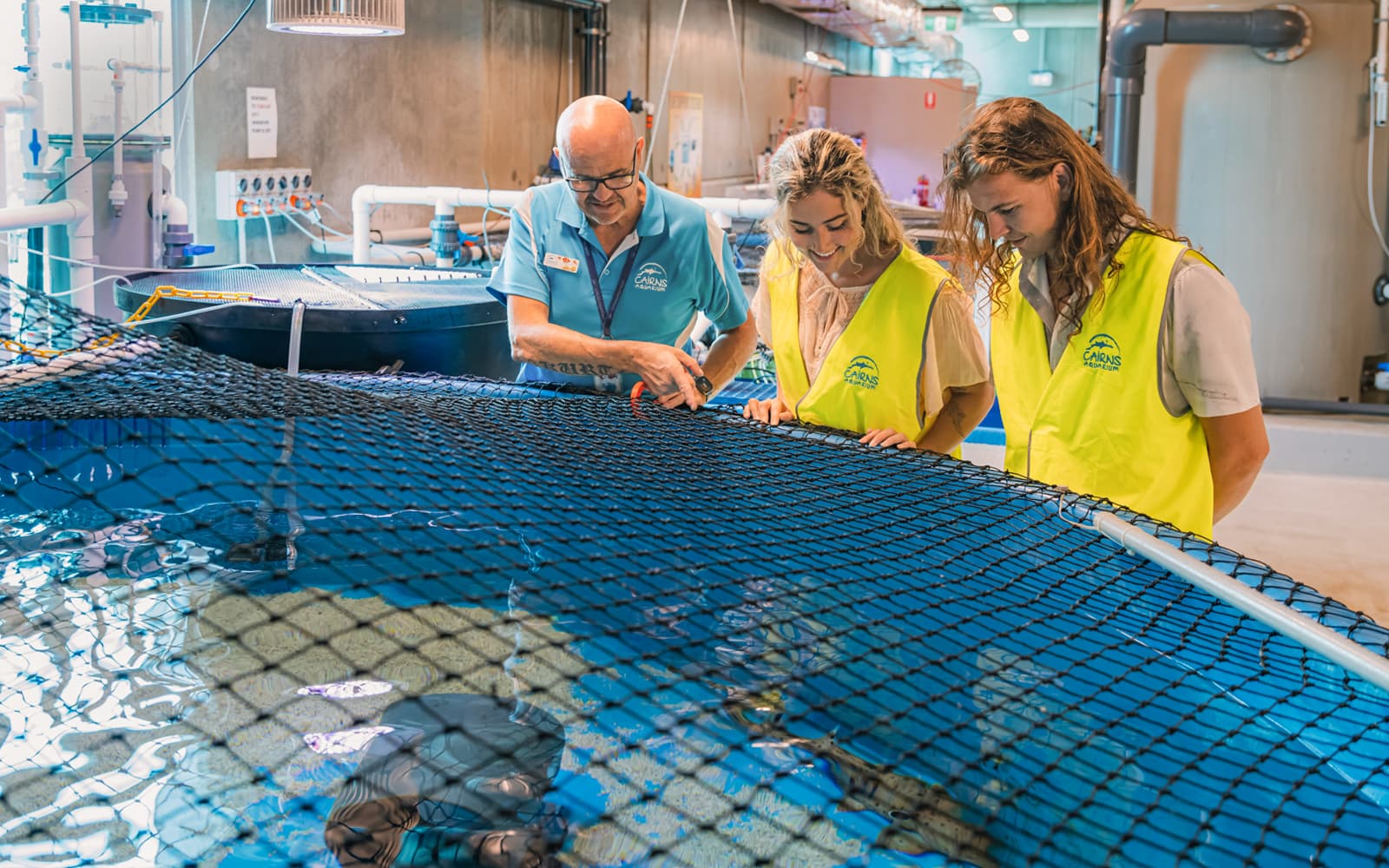 Marine Life Encounter at Cairns Aquarium tickets in Cairns - Highlights | TickYourList
