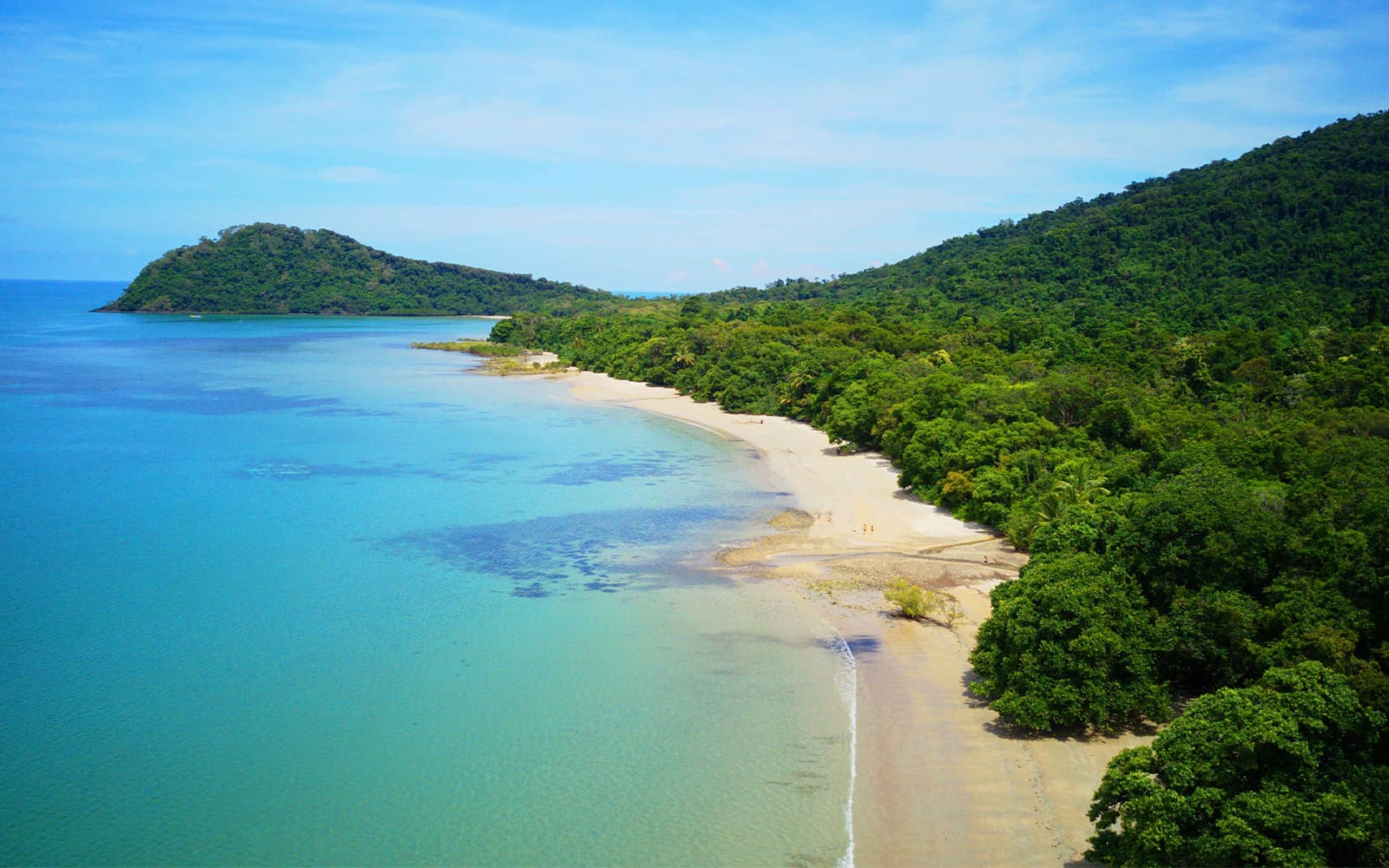 Cape Tribulation Day Tour with Optional River Cruise experience tickets in Cairns | TickYourList