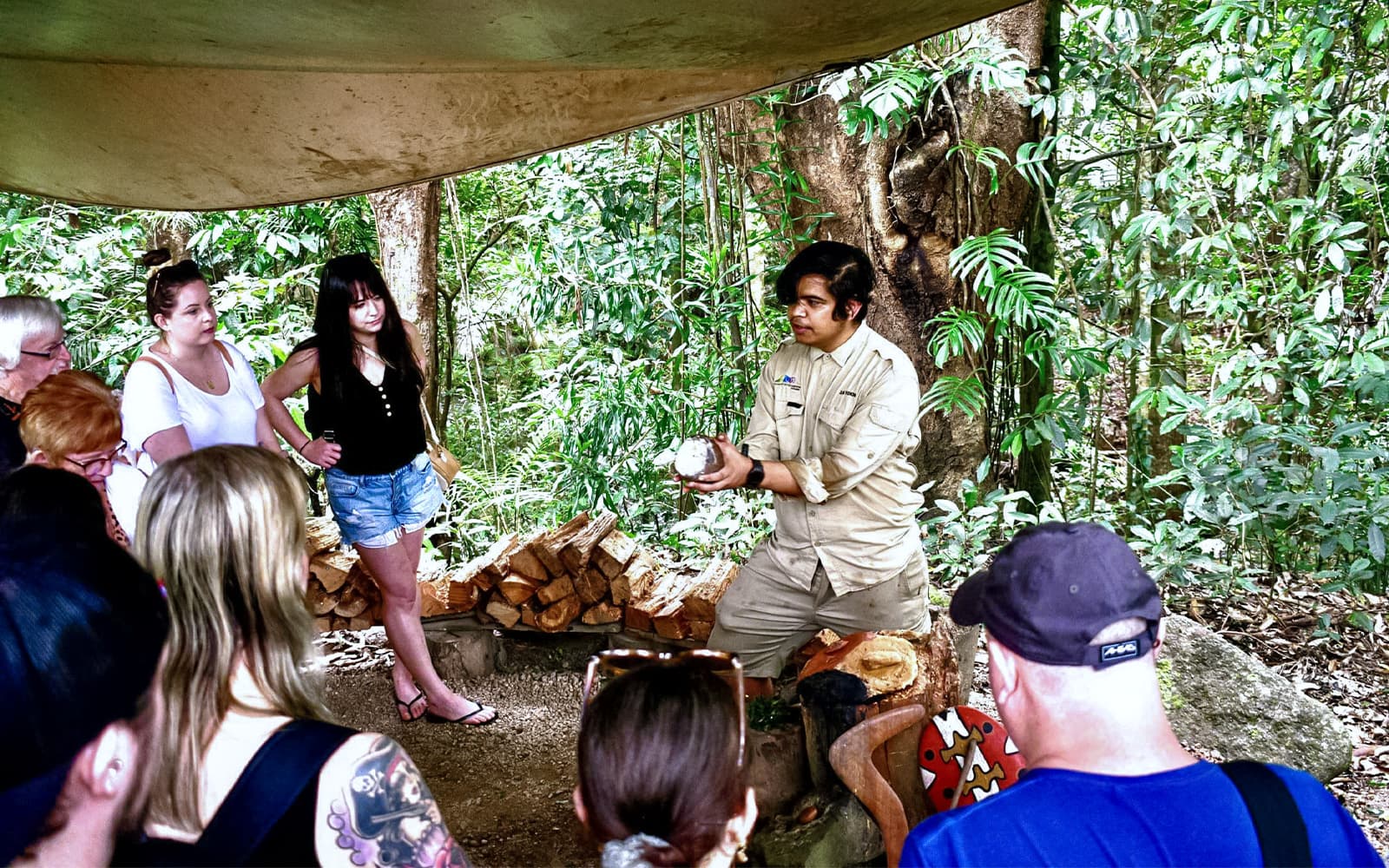 Cape Tribulation Day Tour with Optional River Cruise tickets in Cairns - Attractions | TickYourList
