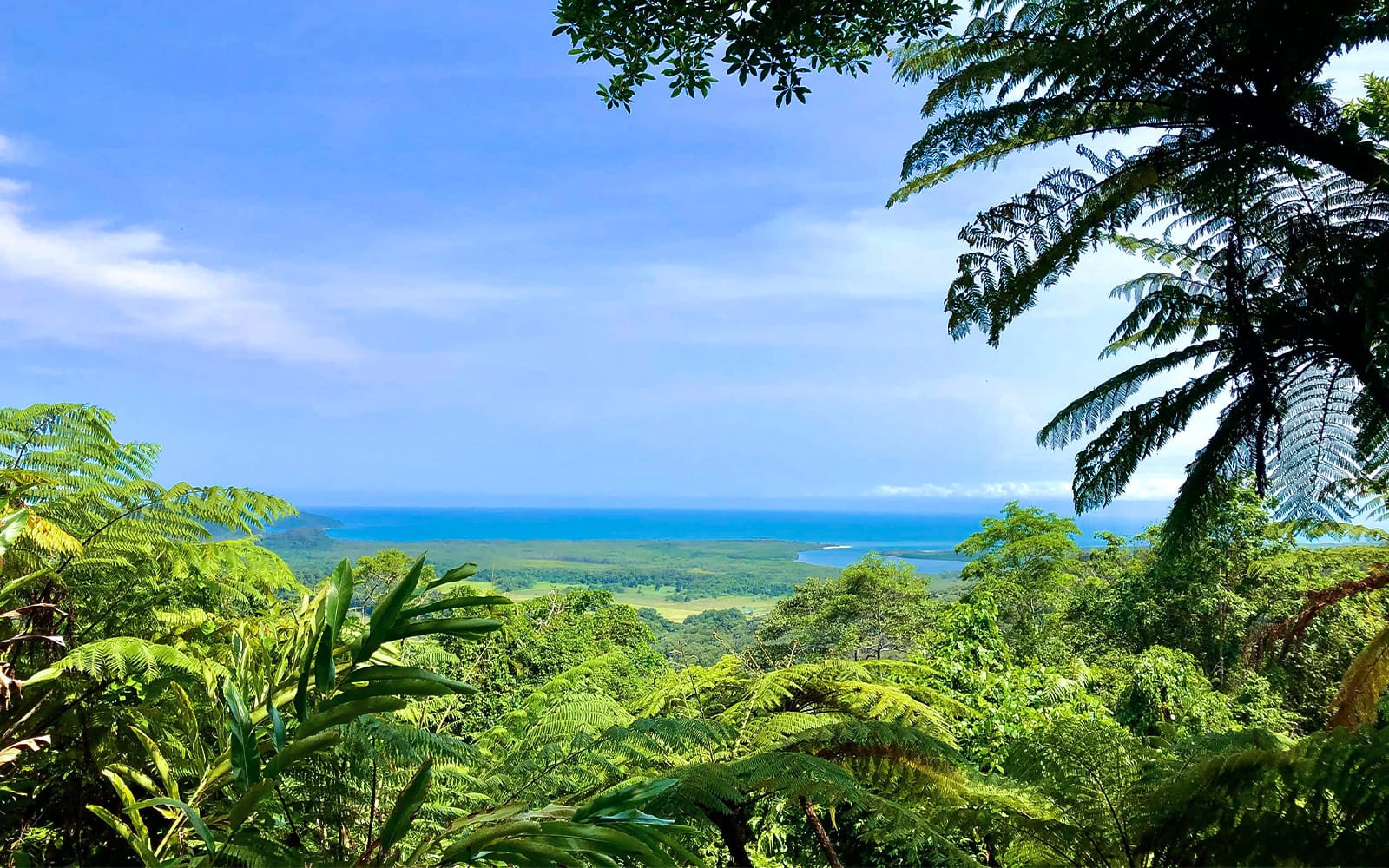 Cape Tribulation Day Tour with Optional River Cruise tickets in Cairns - Activities | TickYourList