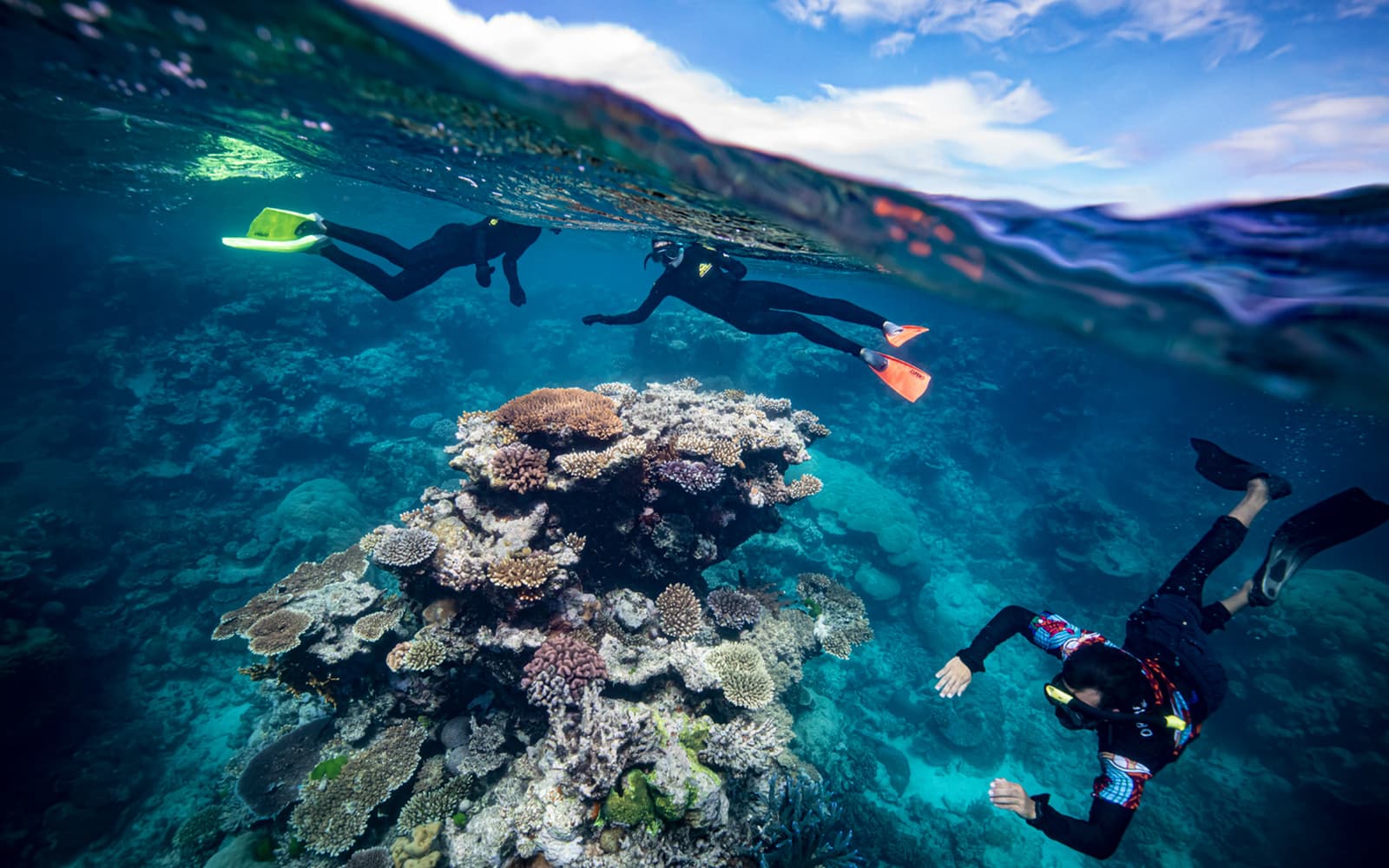 Tickets for Dreamtime Dive & Snorkel Experience from Cairns in Cairns - Attractions | TickYourList