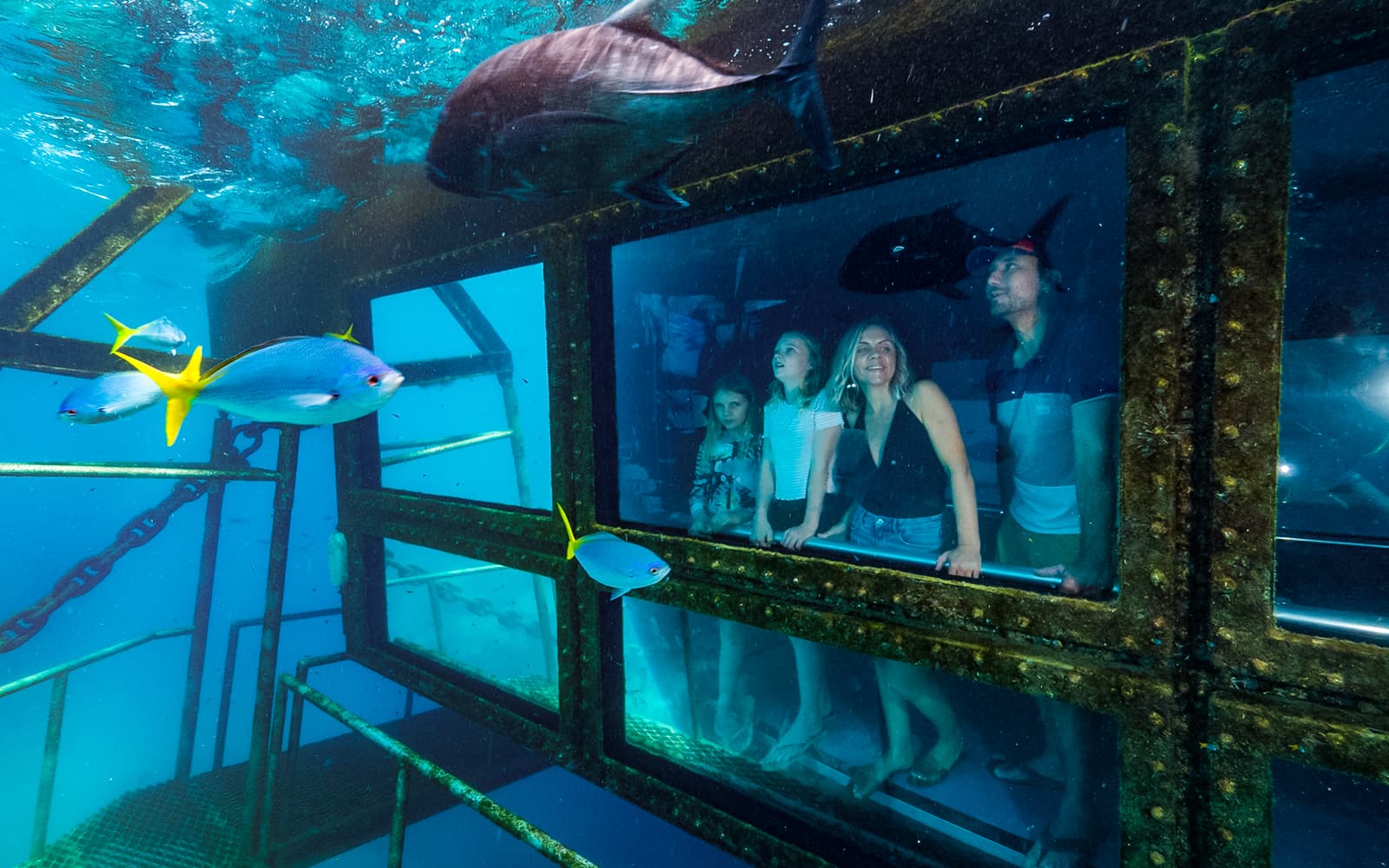 Cairns to Great Barrier Reef Snorkel Cruise with Pontoon Activities and Lunch by Reef Magic tickets in Cairns - Activities | TickYourList