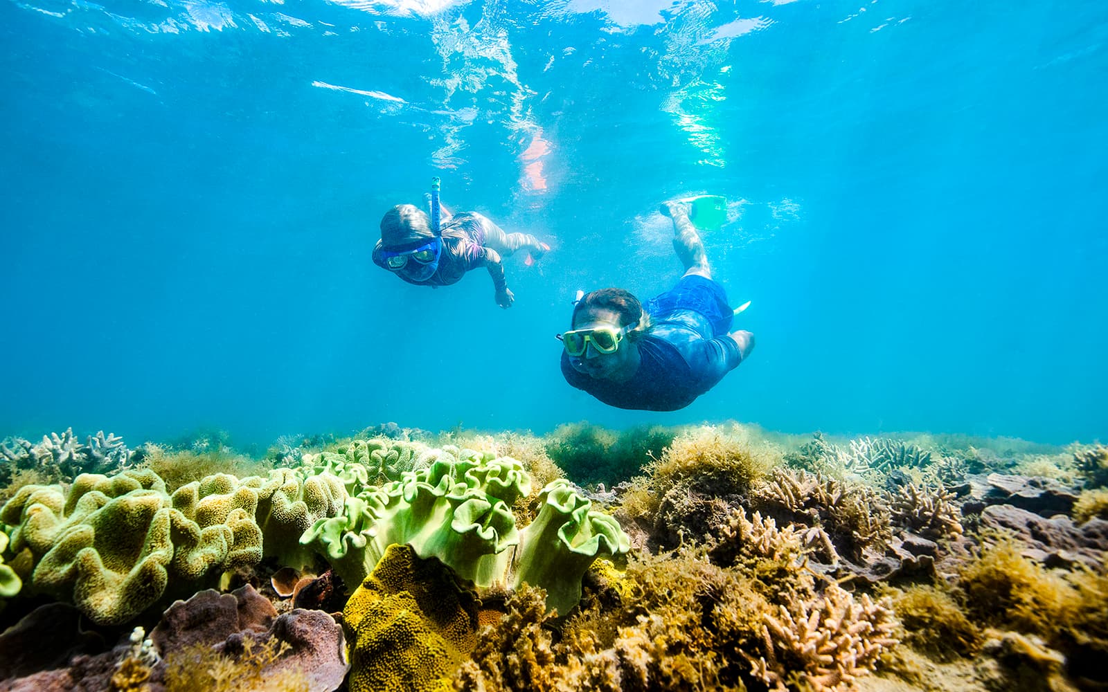 Airlie Beach: Whitsundays Snorkel and Hill Inlet Tour with Hotel Transfers tickets in Whitsundays - Attractions | TickYourList