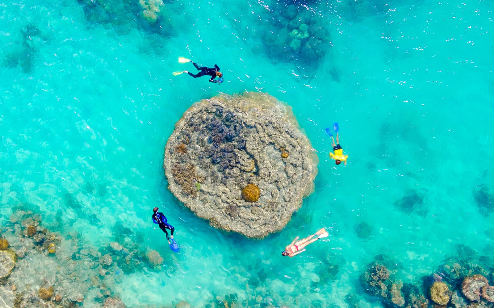 Airlie Beach: Whitsundays Snorkel and Hill Inlet Tour with Hotel Transfers tickets in Whitsundays - Activities | TickYourList