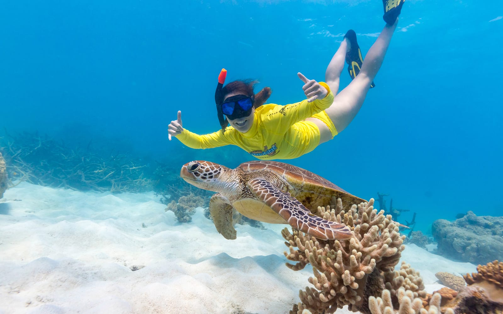 Ocean Safari Tour tickets in Cairns - Attractions | TickYourList