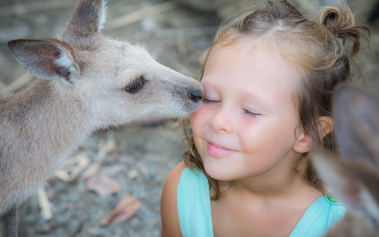 Wildlife Habitat Tickets in Cairns - Features | TickYourList