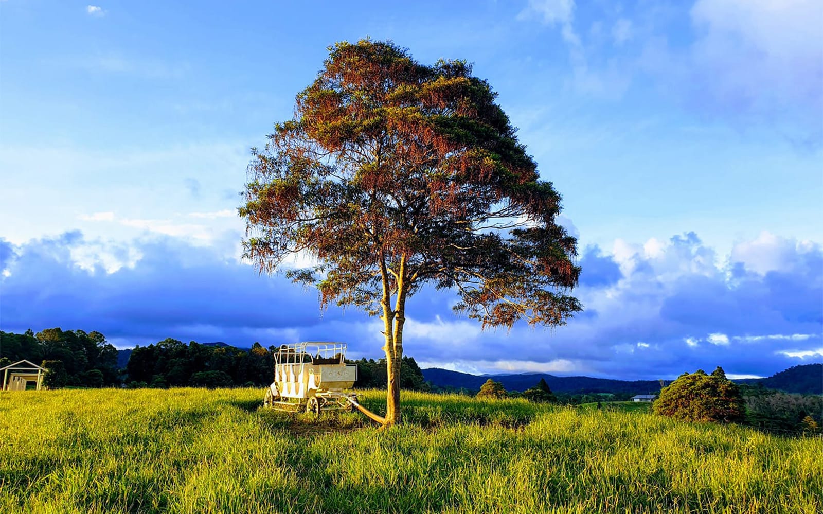 KUR-Cow Barnwell Farm Entry with Optional ATV & Horse Riding experience tickets in Cairns | TickYourList