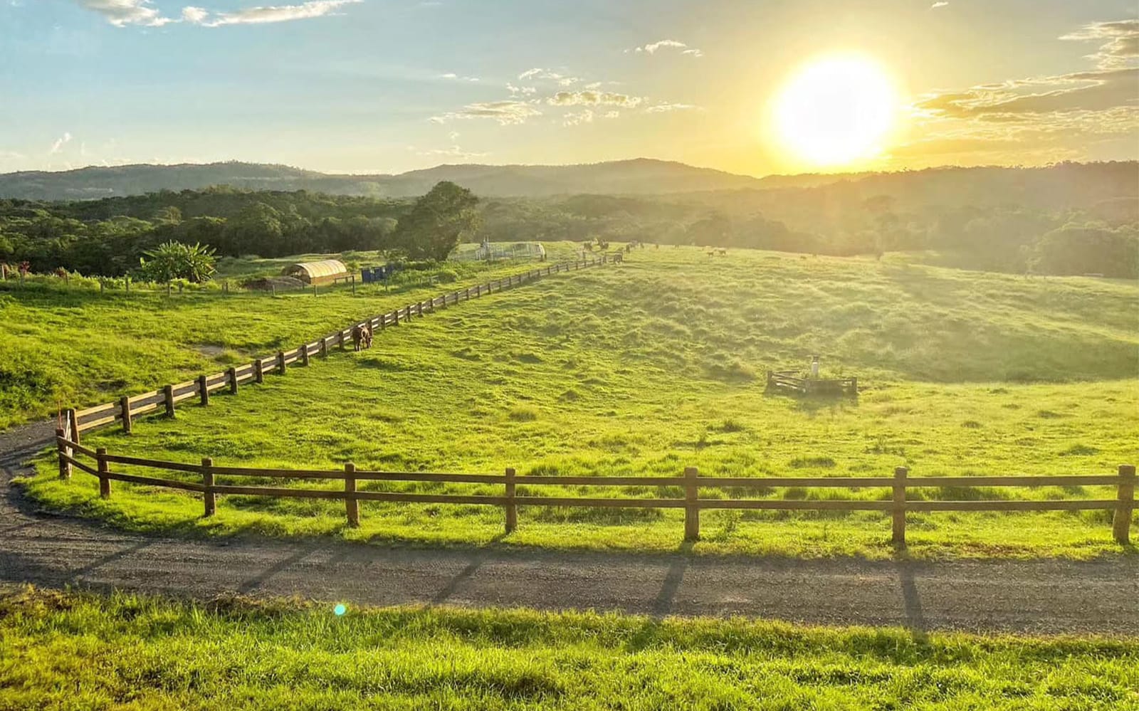 KUR-Cow Barnwell Farm Entry with Optional ATV & Horse Riding tickets in Cairns - Activities | TickYourList