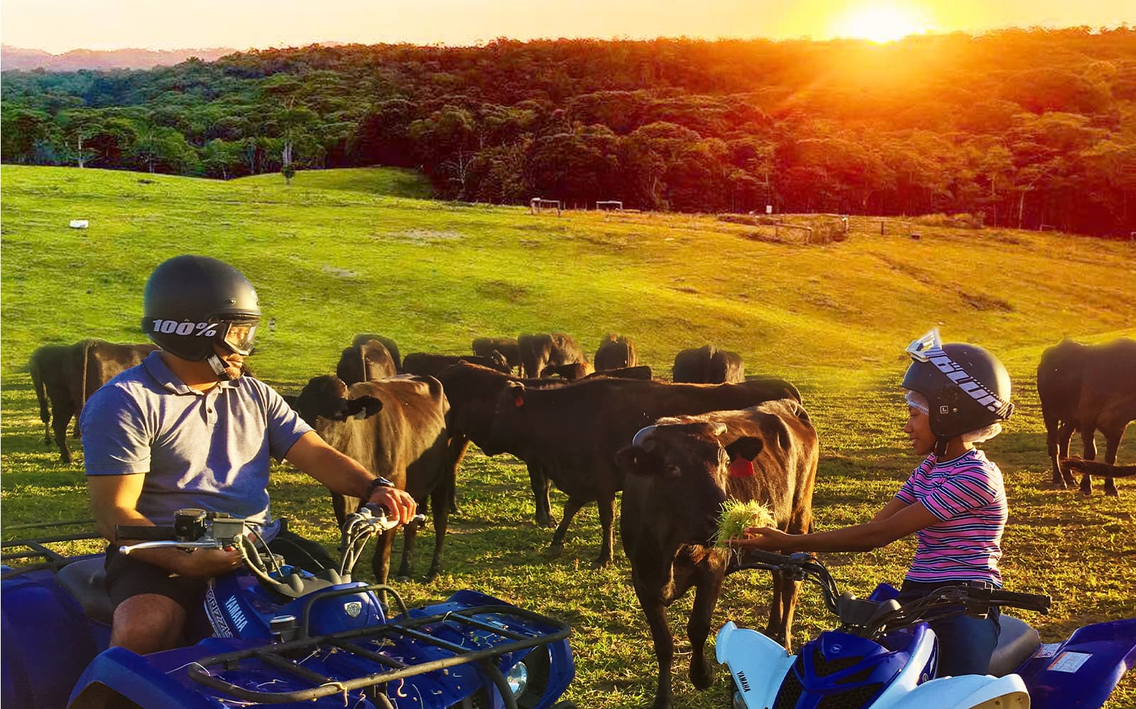 KUR-Cow Barnwell Farm Sunset ATV & Wagyu BBQ Dinner tickets in Cairns - Attractions | TickYourList