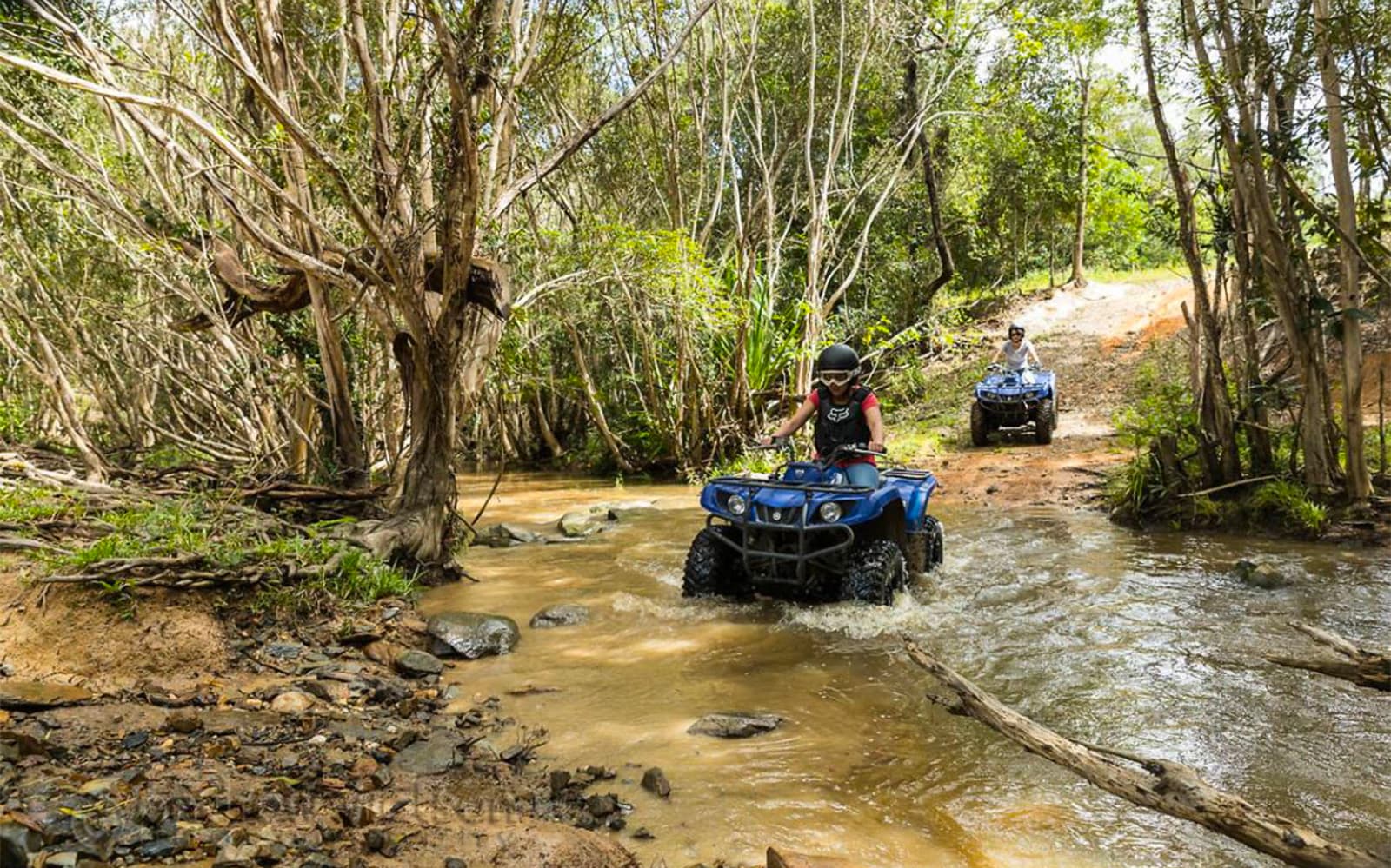 KUR-Cow Barnwell Farm Sunset ATV & Wagyu BBQ Dinner tickets in Cairns - Highlights | TickYourList