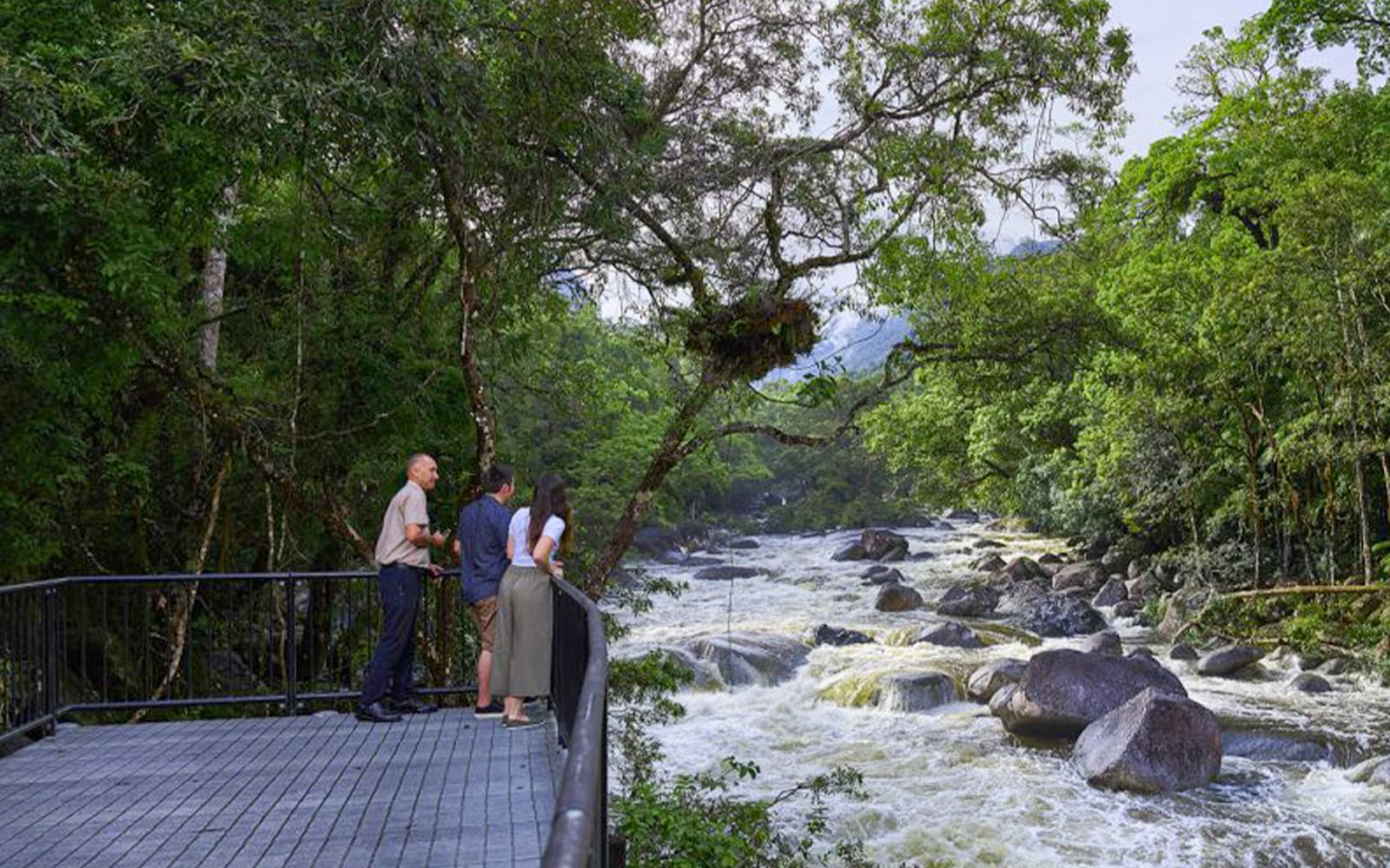 Daintree Dreaming Tour: Aboriginal Art & Culture/Traditional Aboriginal Fishing tickets in Cairns - Attractions | TickYourList