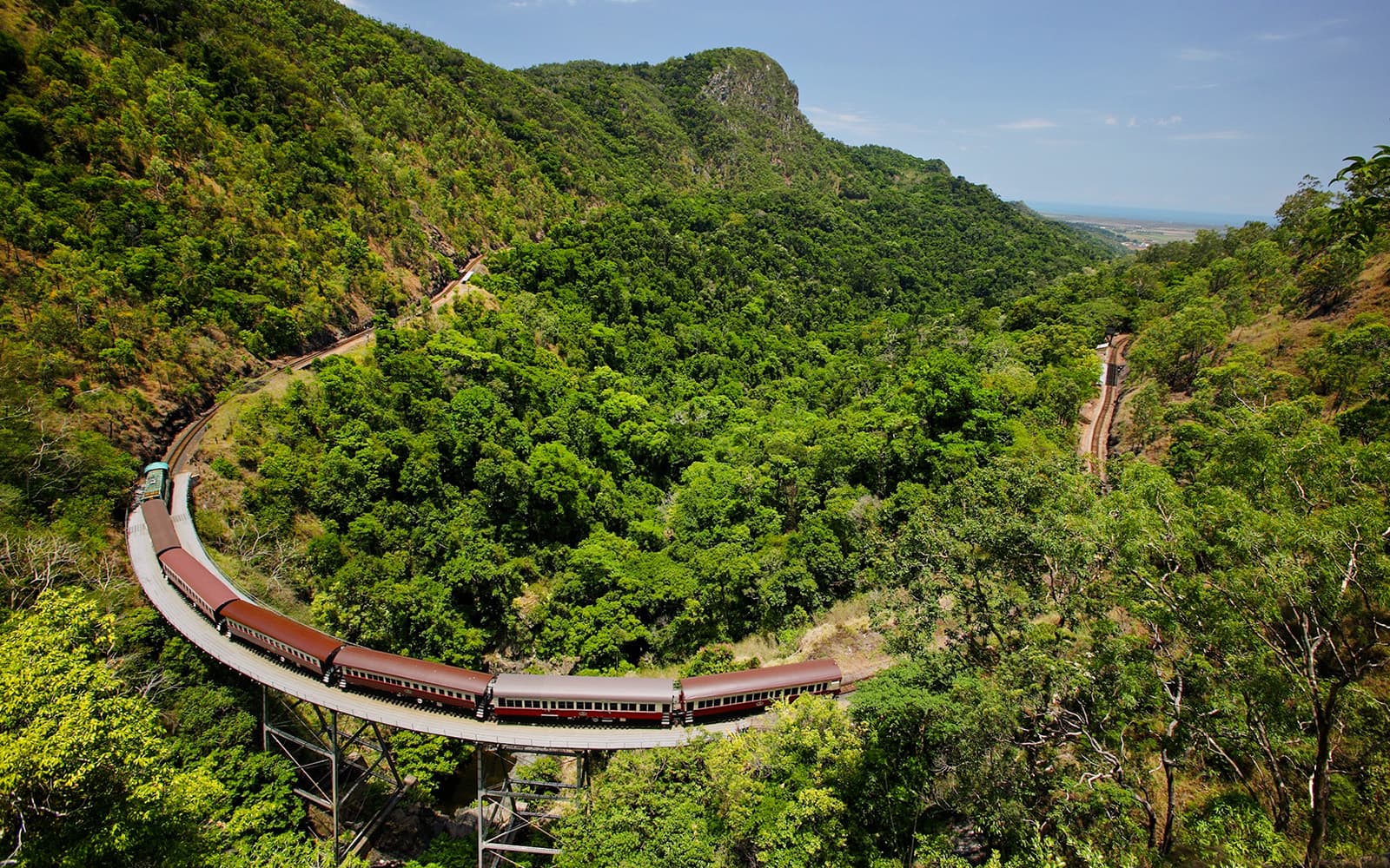 From Cairns: Scenic Train with Gold Class & Skyrail Kuranda Tour with Transfers
