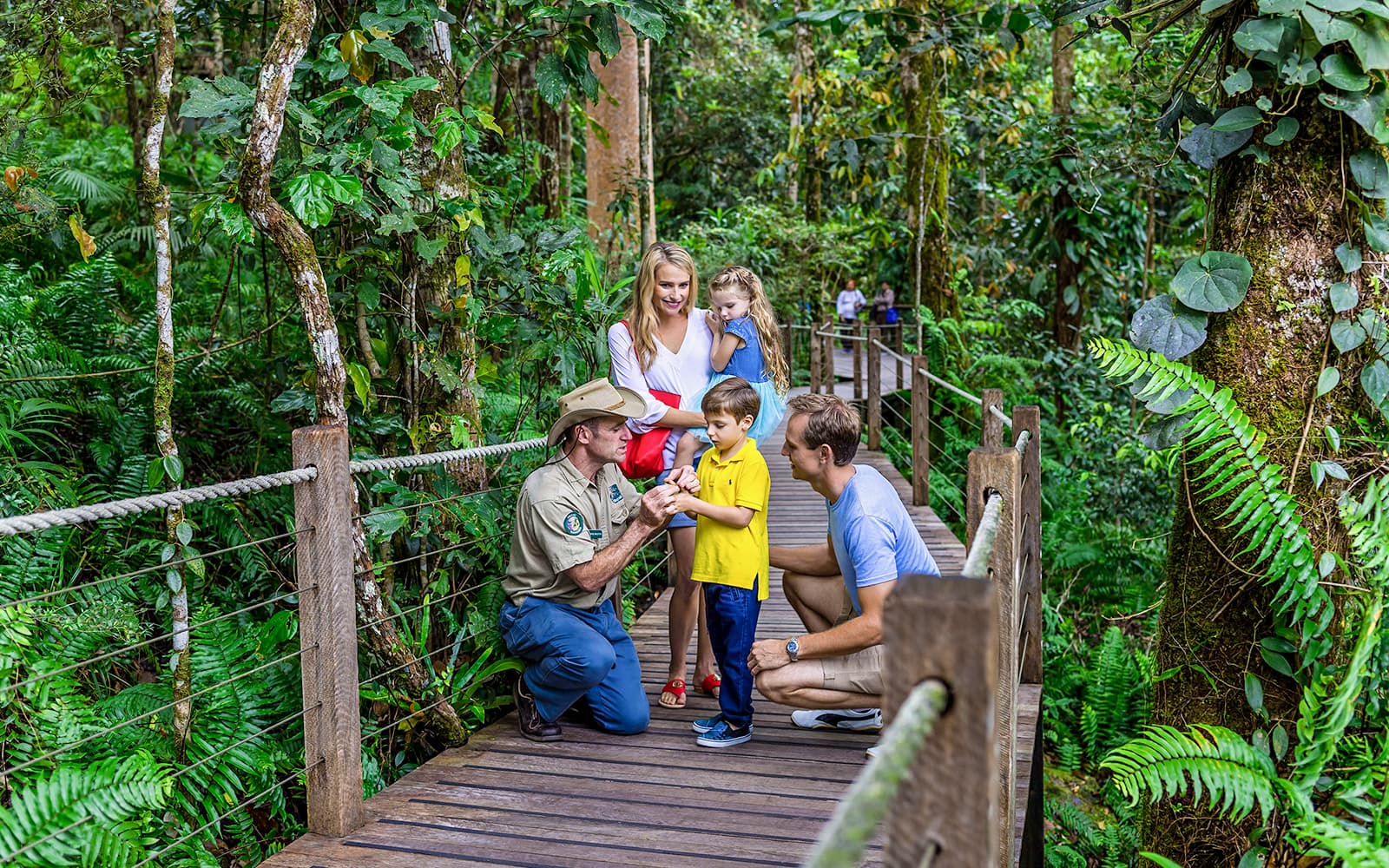 From Cairns: Scenic Train with Gold Class & Skyrail Kuranda Tour with Transfers tickets in Cairns - Activities | TickYourList