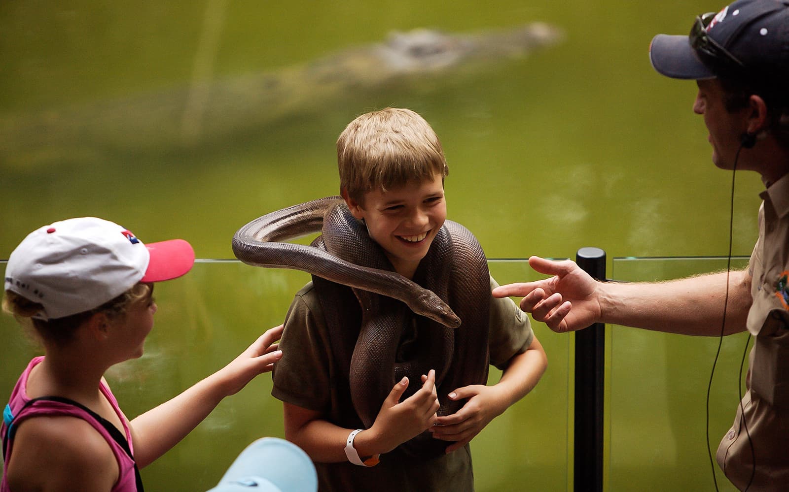 Half-Day Tour of Hartley’s Crocodile Adventures tickets in Cairns - Features | TickYourList