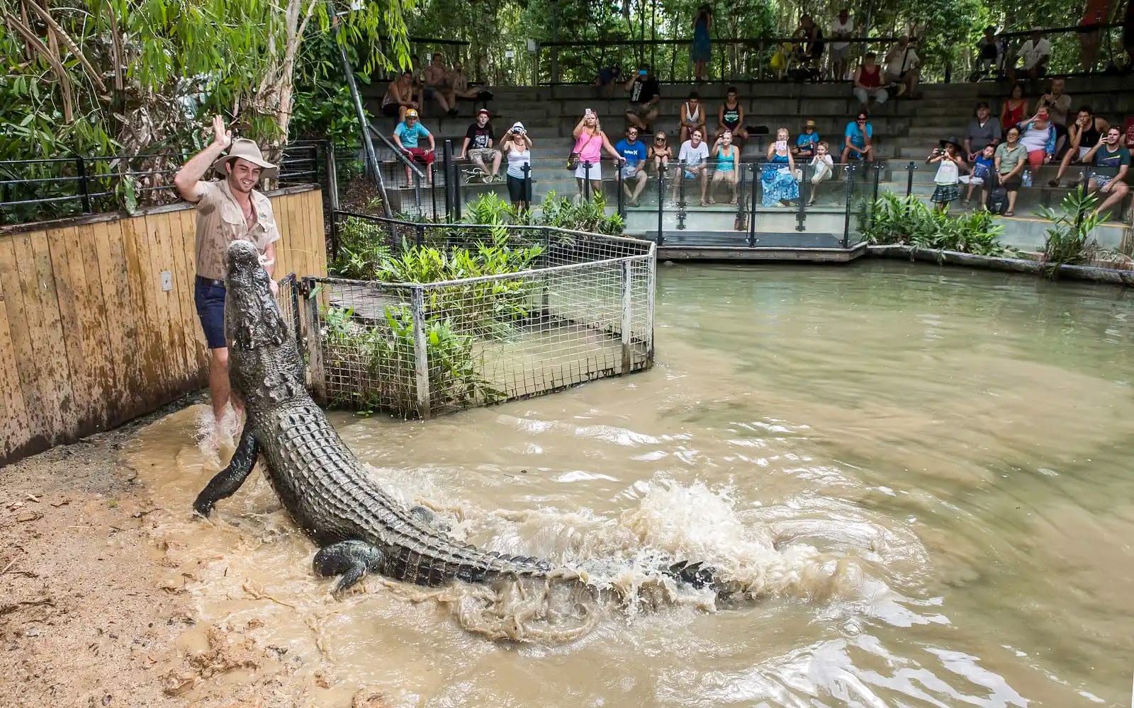 Tickets to Hartley's Crocodile Adventures in Cairns - Attractions | TickYourList