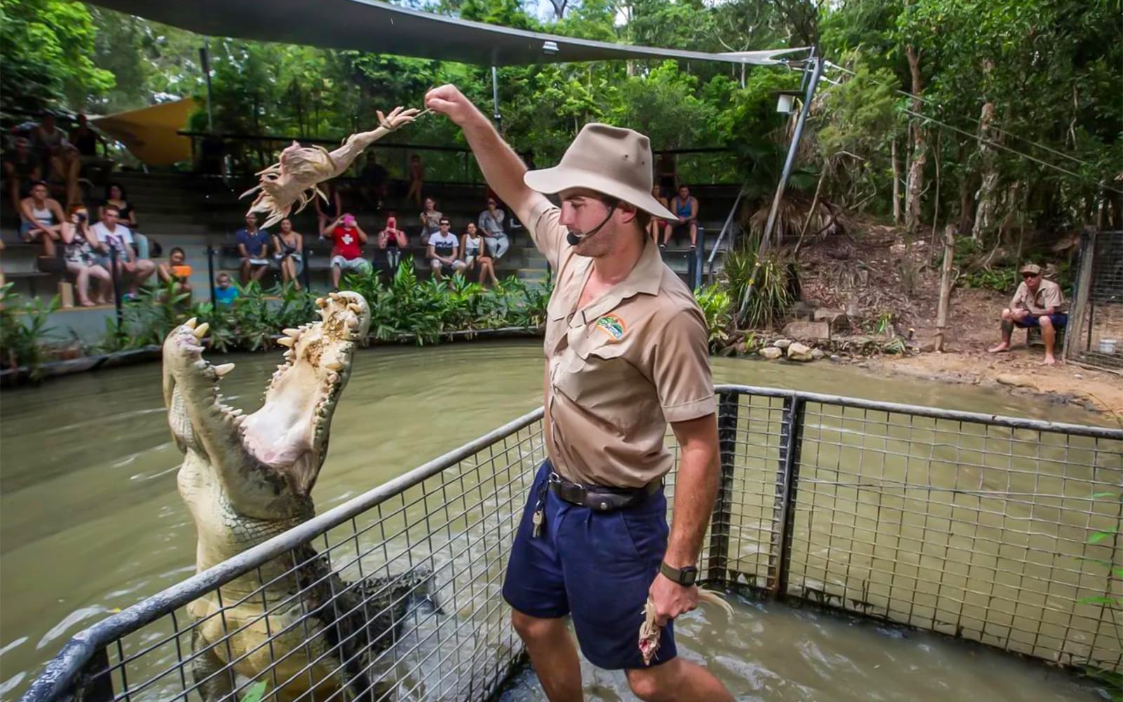Tickets to Hartley's Crocodile Adventures in Cairns - Activities | TickYourList