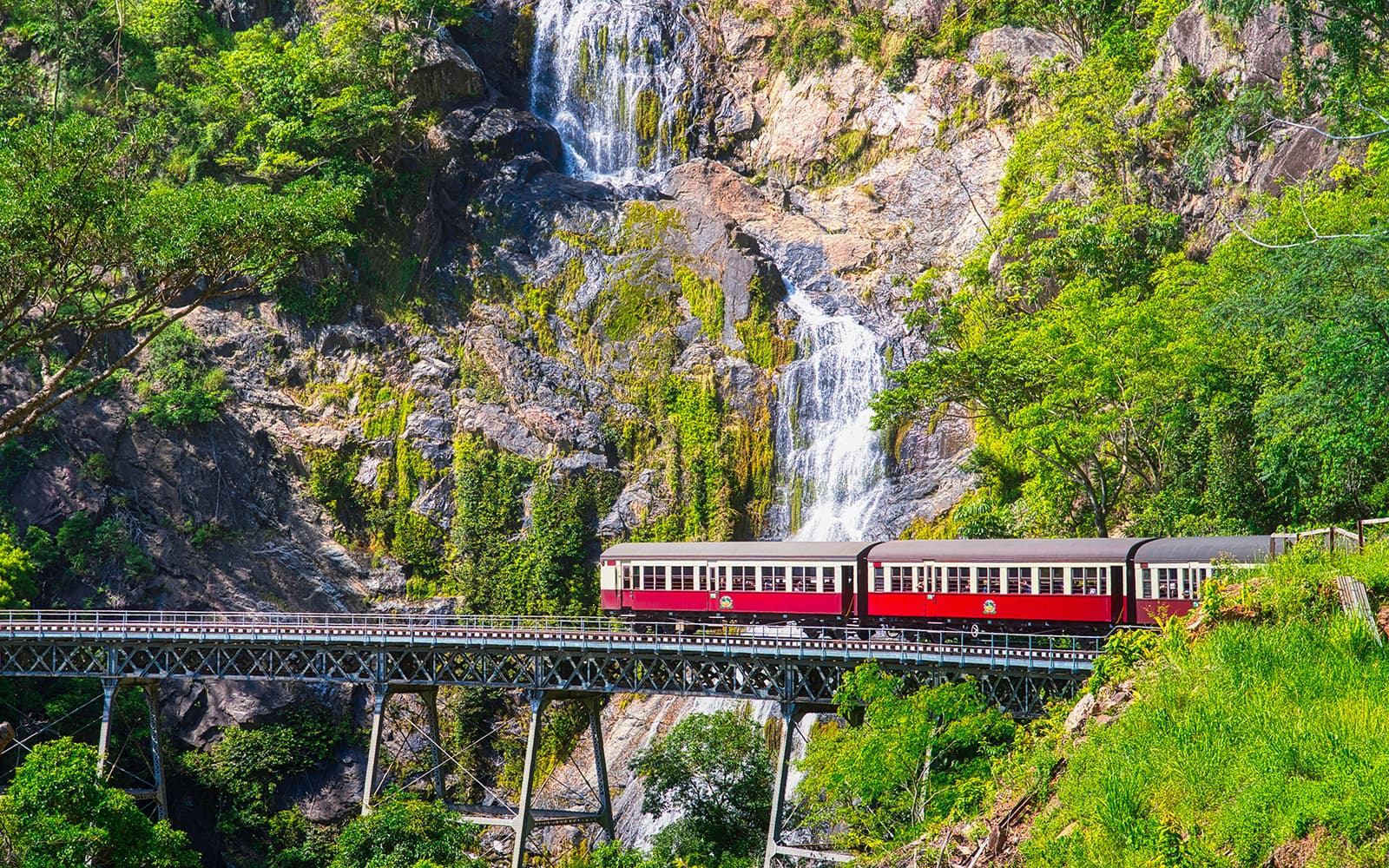 From Cairns: Scenic Train, Skyrail & Kuranda Rainforest Tour