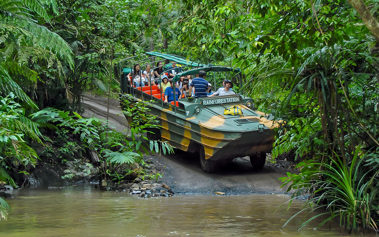 From Cairns: Scenic Train, Skyrail & Kuranda Rainforest Tour tickets in Cairns - Features | TickYourList