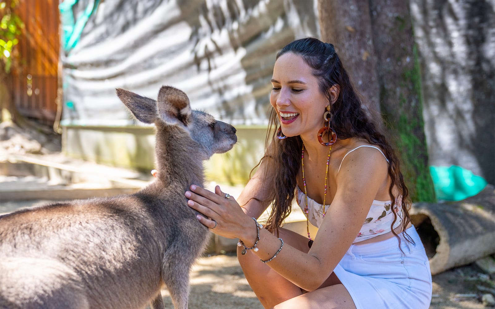 Friends in the Rainforest Package: Tickets to Kuranda Koala Gardens and Birdworld Kuranda in Cairns - Activities | TickYourList
