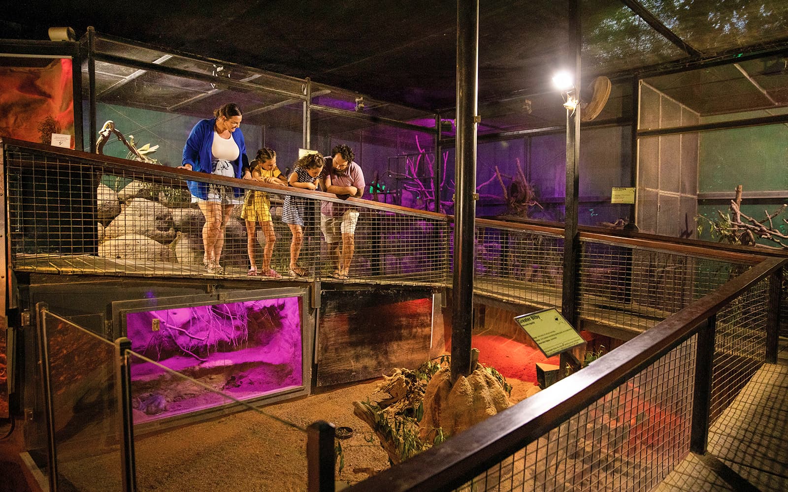 Tickets to Kuranda Koala Gardens, Birdworld Kuranda, & Australian Butterfly Sanctuary in Cairns - Highlights | TickYourList