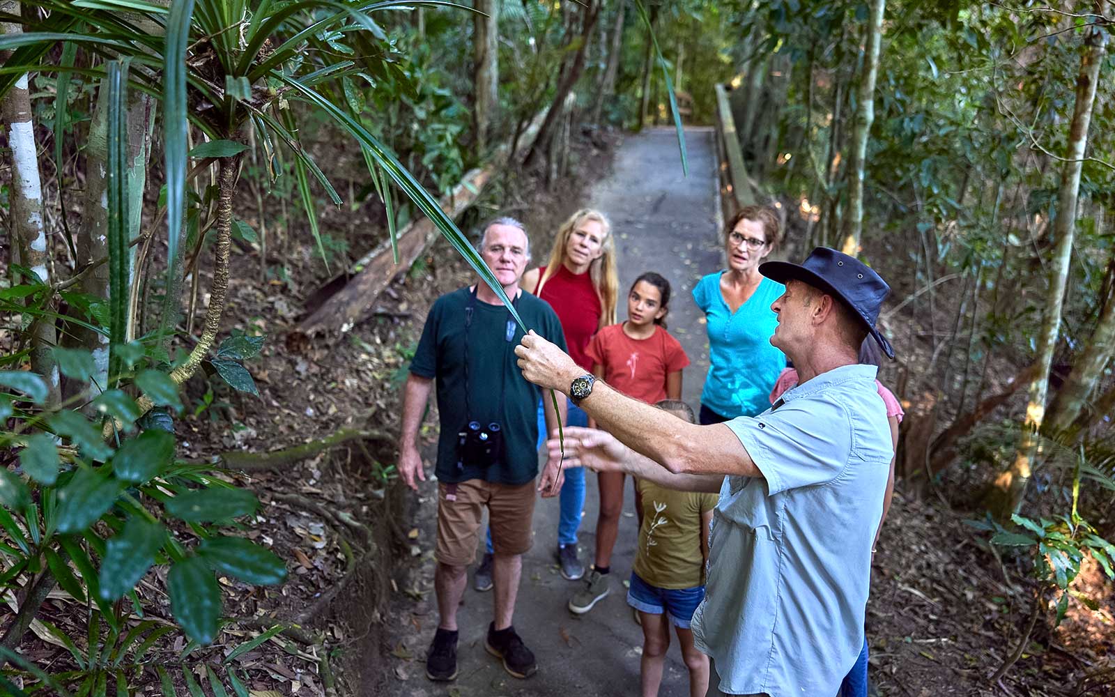 8-hour Rainforest Wildlife Guided Night Tour from Cairns tickets in Cairns - Activities | TickYourList