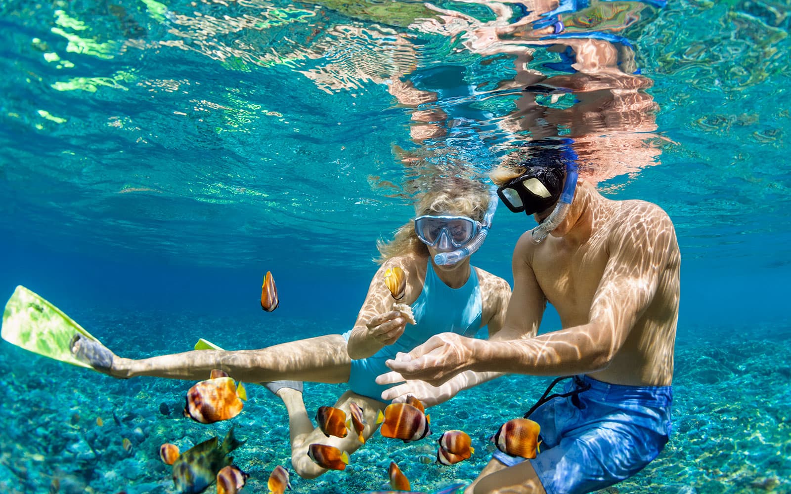 Cairns to Great Barrier Reef Snorkel Cruise with Lunch tickets in Cairns - Features | TickYourList