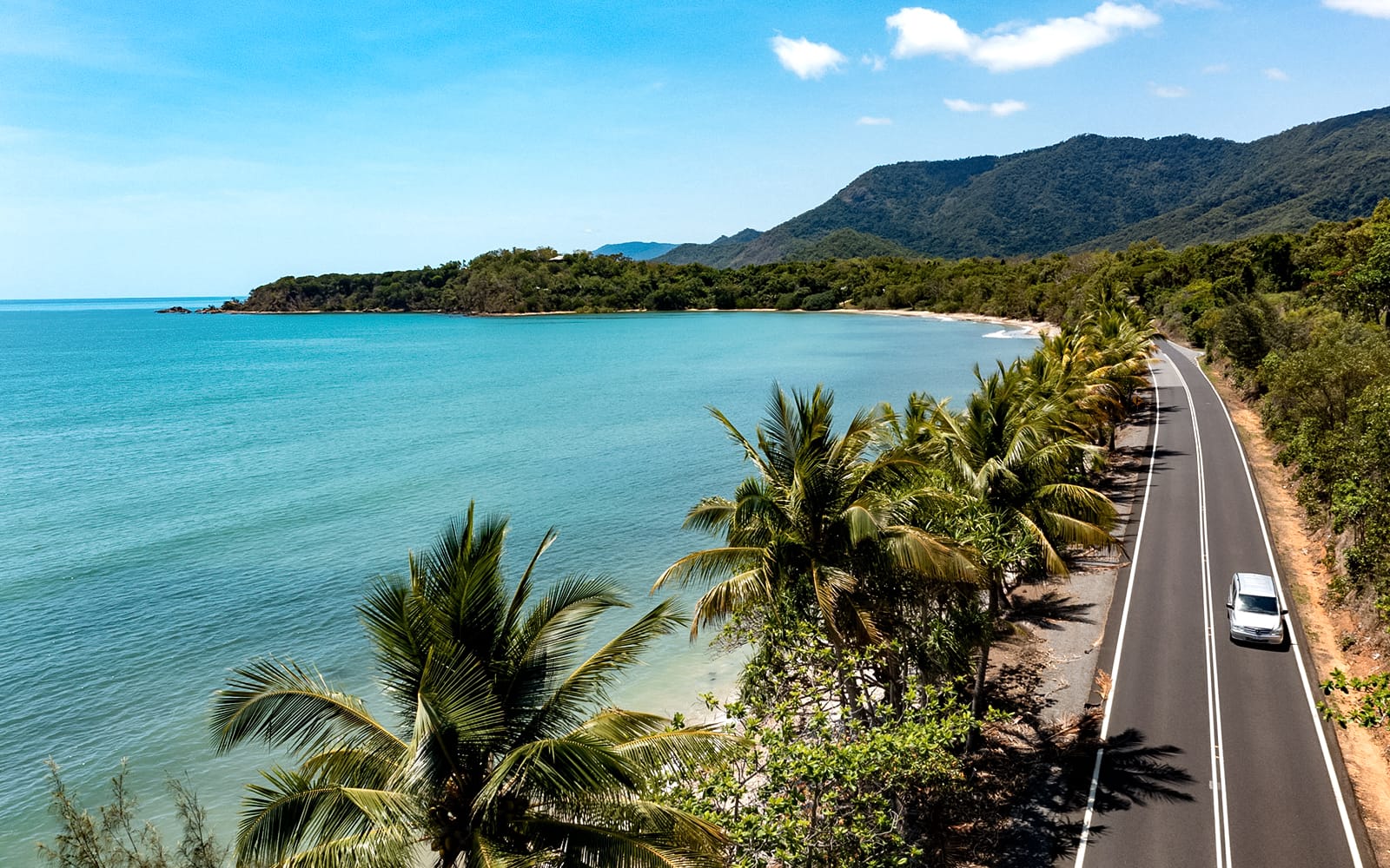 One-Way Tickets: Cairns City to Cairns Airport/Cairns City/Palm Cove/Port Douglas in Cairns - Highlights | TickYourList