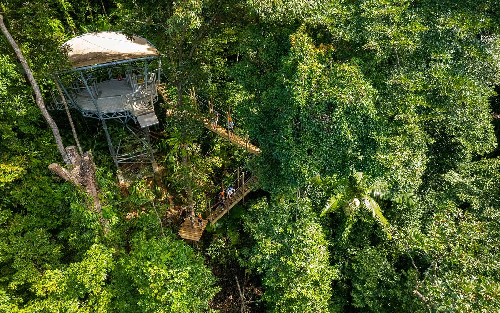 Daintree Rainforest Zipline Tour tickets in Cairns - Attractions | TickYourList