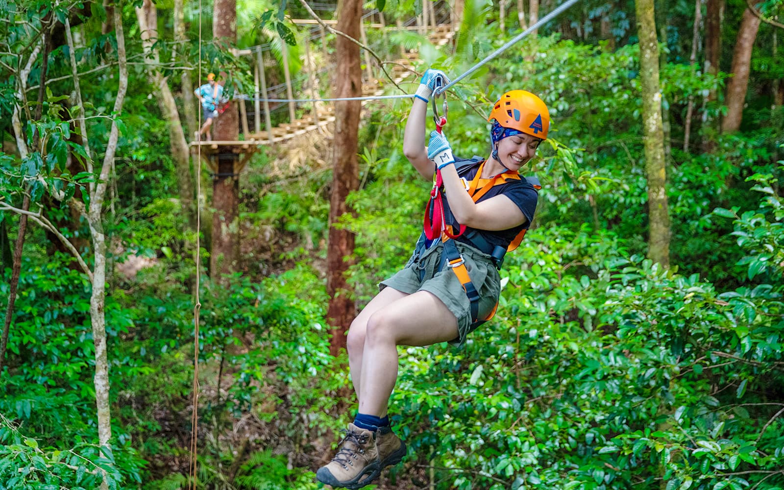 Ultimate Guided Tour of Daintree Rainforest and Ziplining with Hotel Transfers