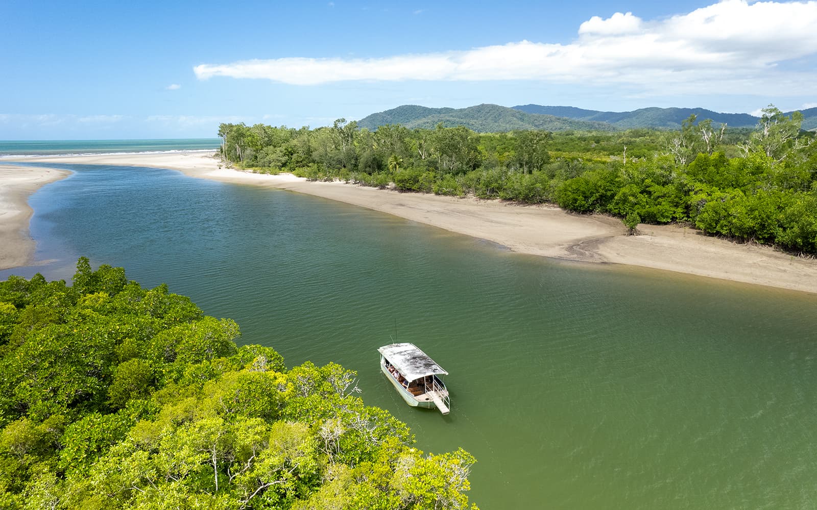 Ultimate Guided Tour of Daintree Rainforest and Ziplining with Hotel Transfers tickets in Cairns - Attractions | TickYourList