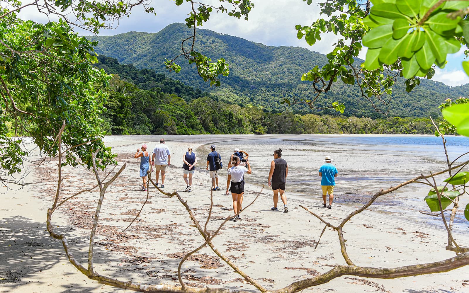 Ultimate Guided Tour of Daintree Rainforest and Ziplining with Hotel Transfers tickets in Cairns - Highlights | TickYourList