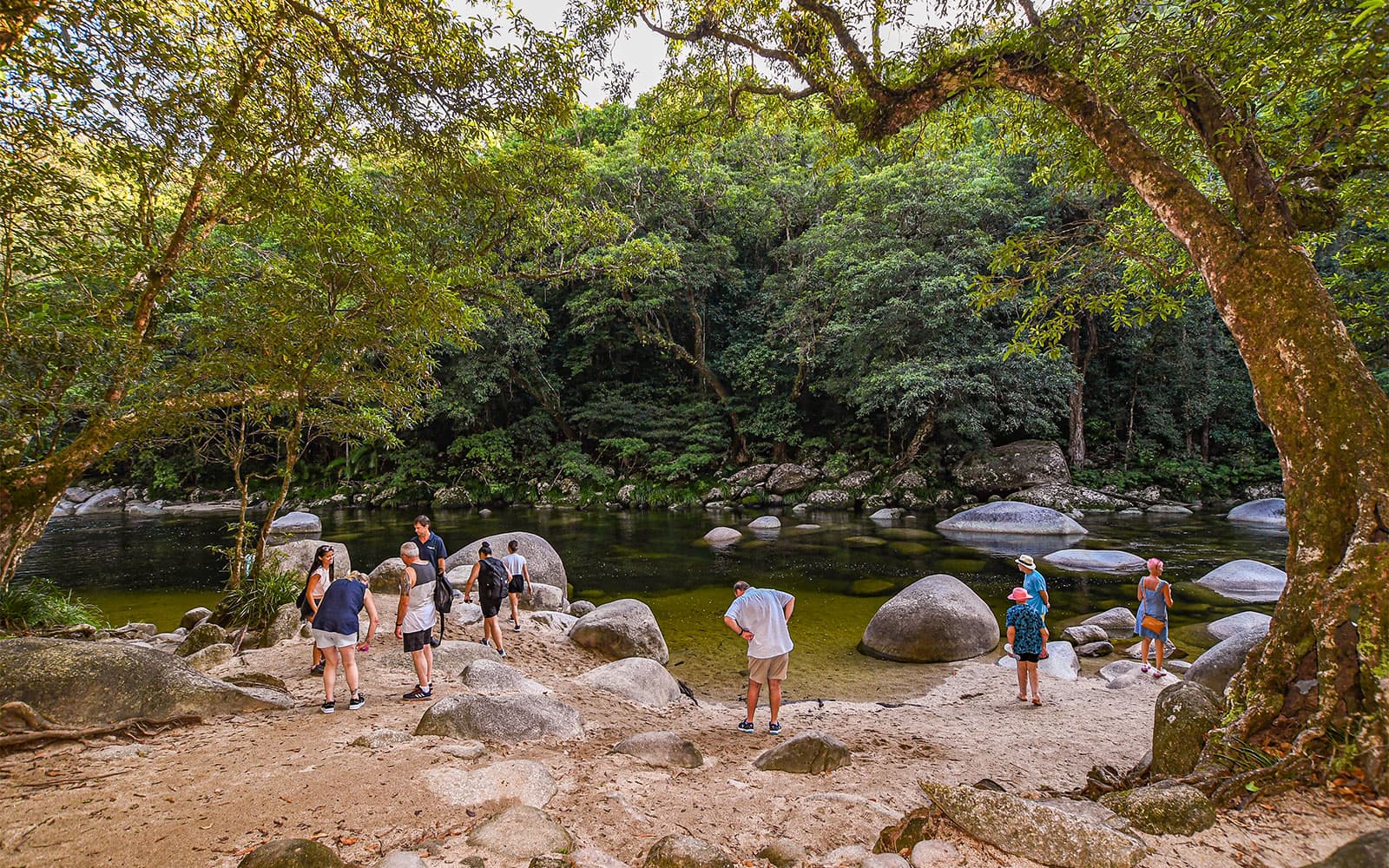 Guided Day Tour of Daintree Rainforest with Transfers from Port Douglas & Mossman tickets in Cairns - Highlights | TickYourList