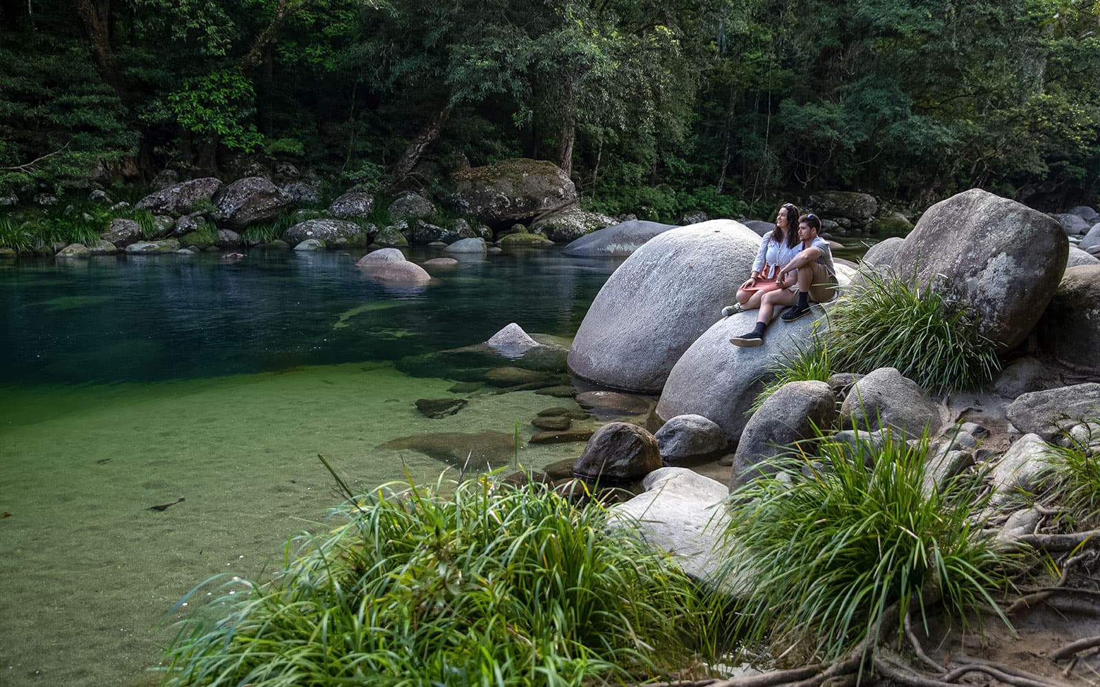 Guided Day Tour of Daintree Rainforest with Transfers from Port Douglas & Mossman tickets in Cairns - Features | TickYourList