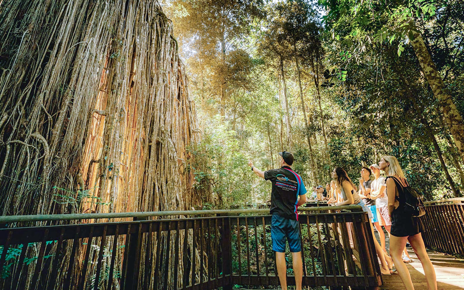 Half-Day Waterfall Wanderers Tour in Queensland tickets in Cairns - Highlights | TickYourList