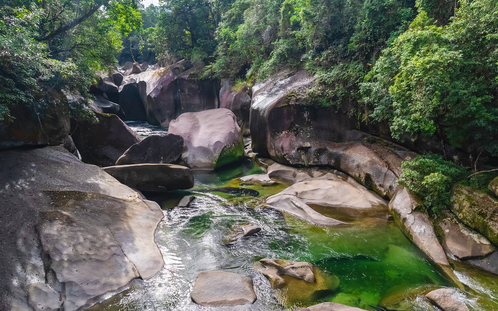 Half-Day Waterfall Wanderers Tour in Queensland tickets in Cairns - Features | TickYourList